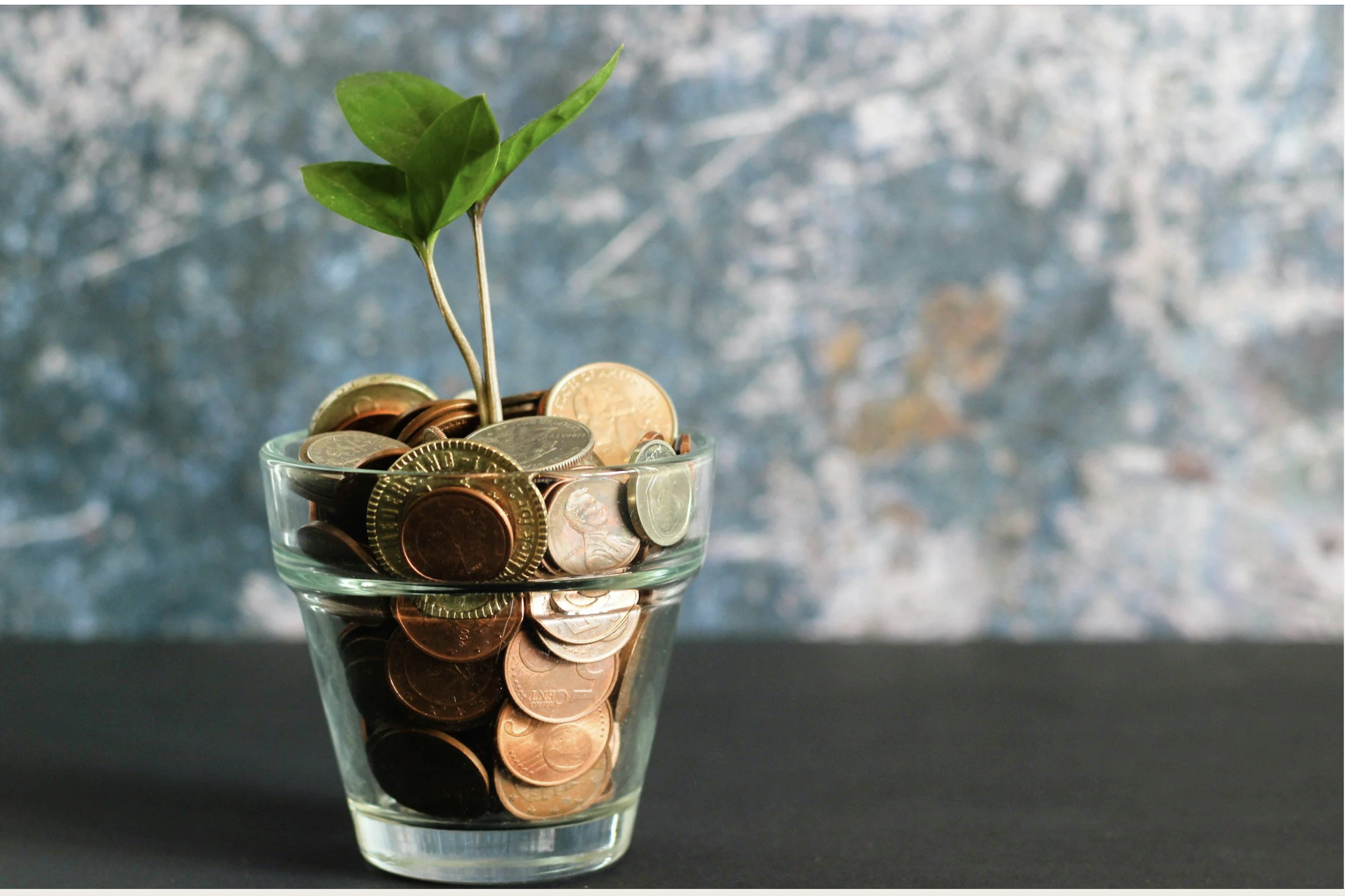 Where Does Your Money Actually Go Each Month?&nbsp;