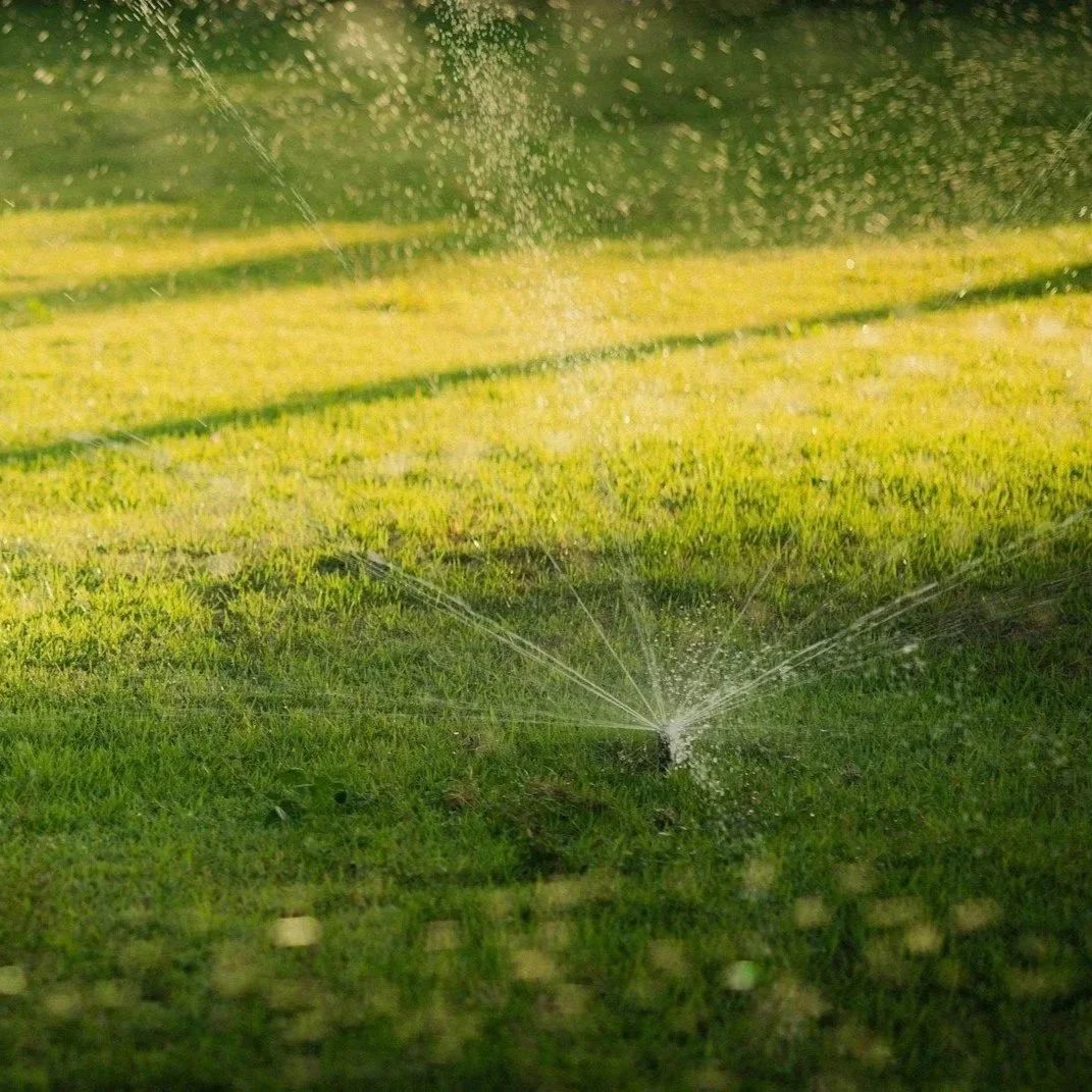 A sprinkler watering a grassy lawn with sunlight creating a yellowish glow and water droplets spraying outward.