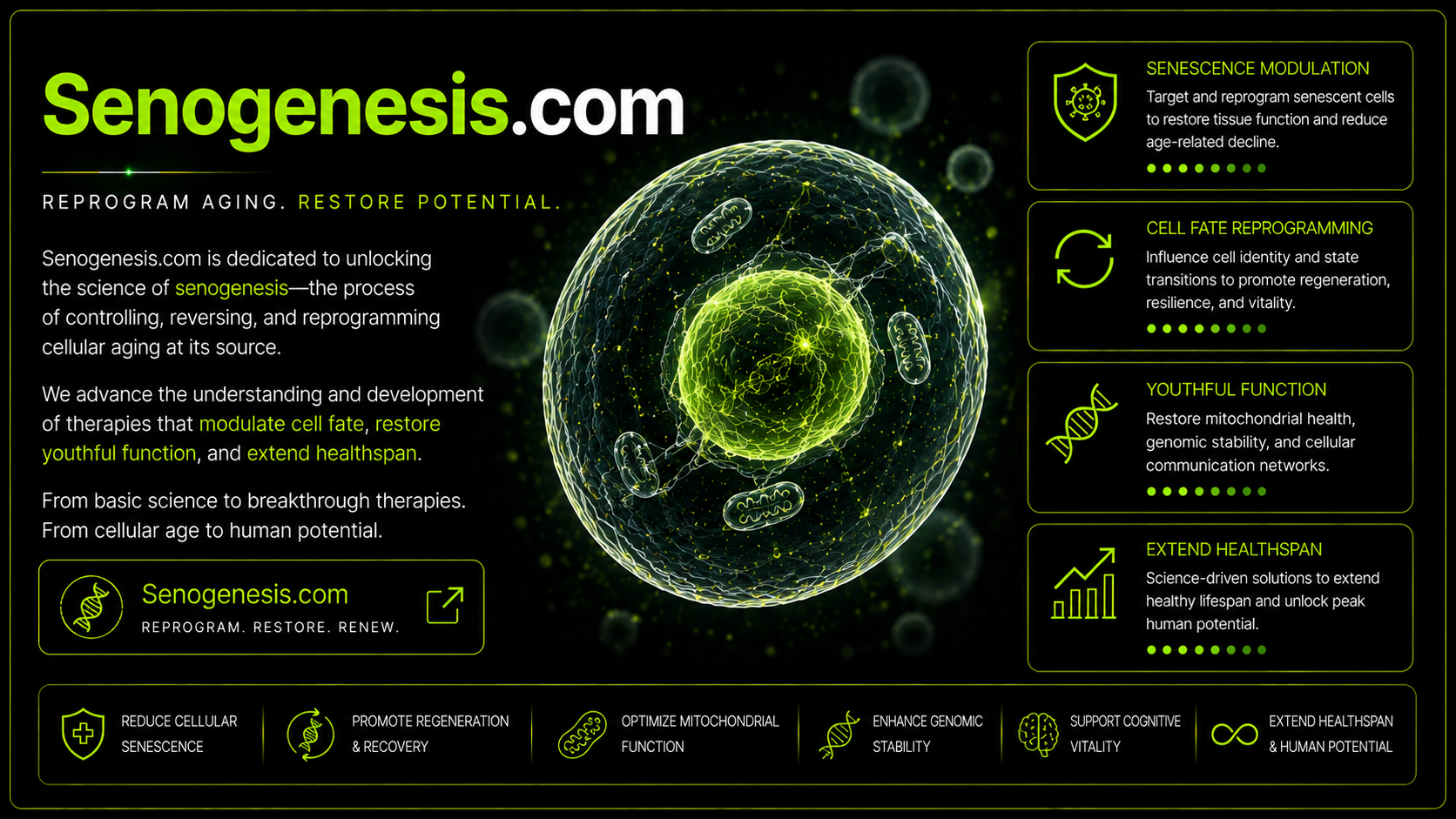 Senogenesis.com