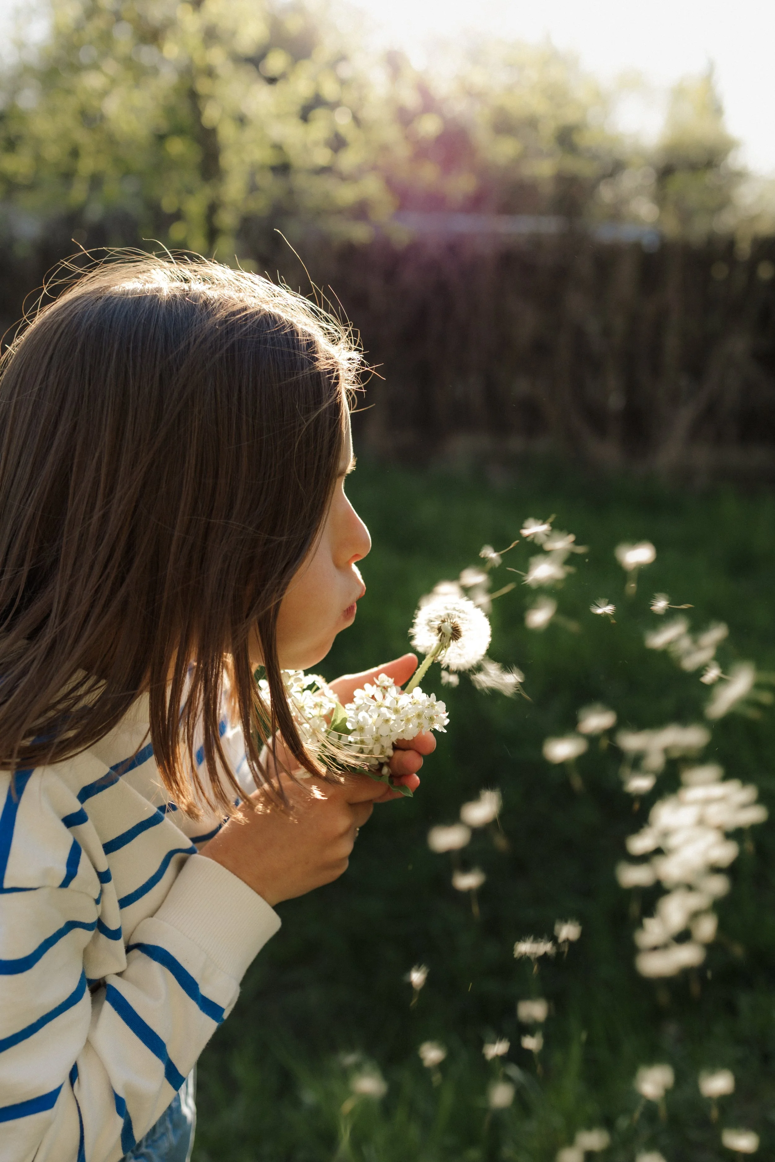 A young girl with brown hair blowing on a dandelion to disperse seeds outdoors in a green yard with sunlight and trees in the background.