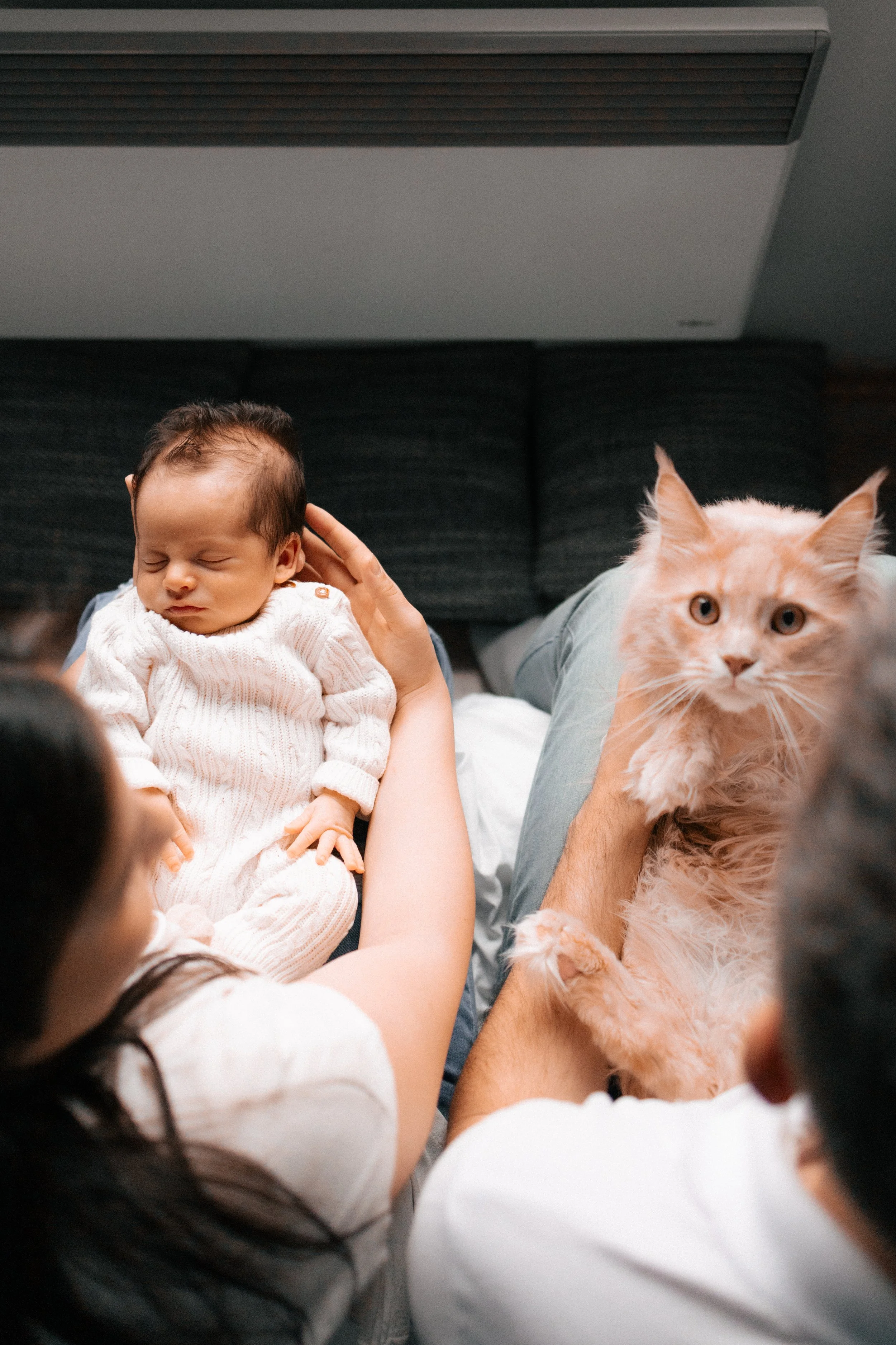 A newborn baby with dark hair sleeping on a person's chest, a woman gently touching the baby's head, and a ginger cat sitting nearby with its front paws on the person's legs, all on a bed with dark headboard.