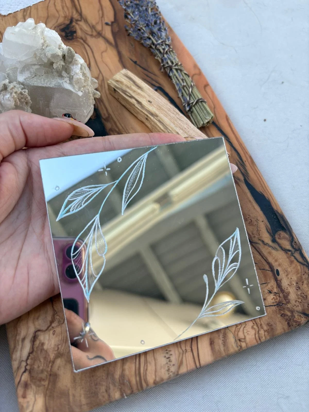 plant mirror