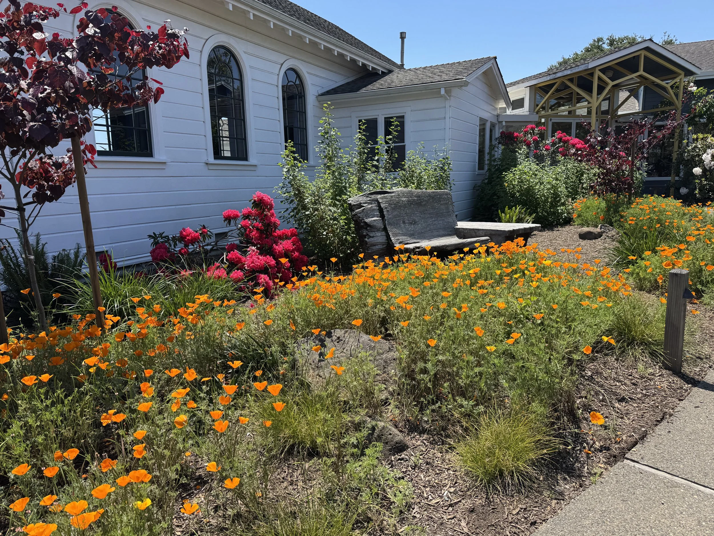 A garden with orange, pink, and white flowers in front of a white house with large arched windows and a small porch with a metal roof.