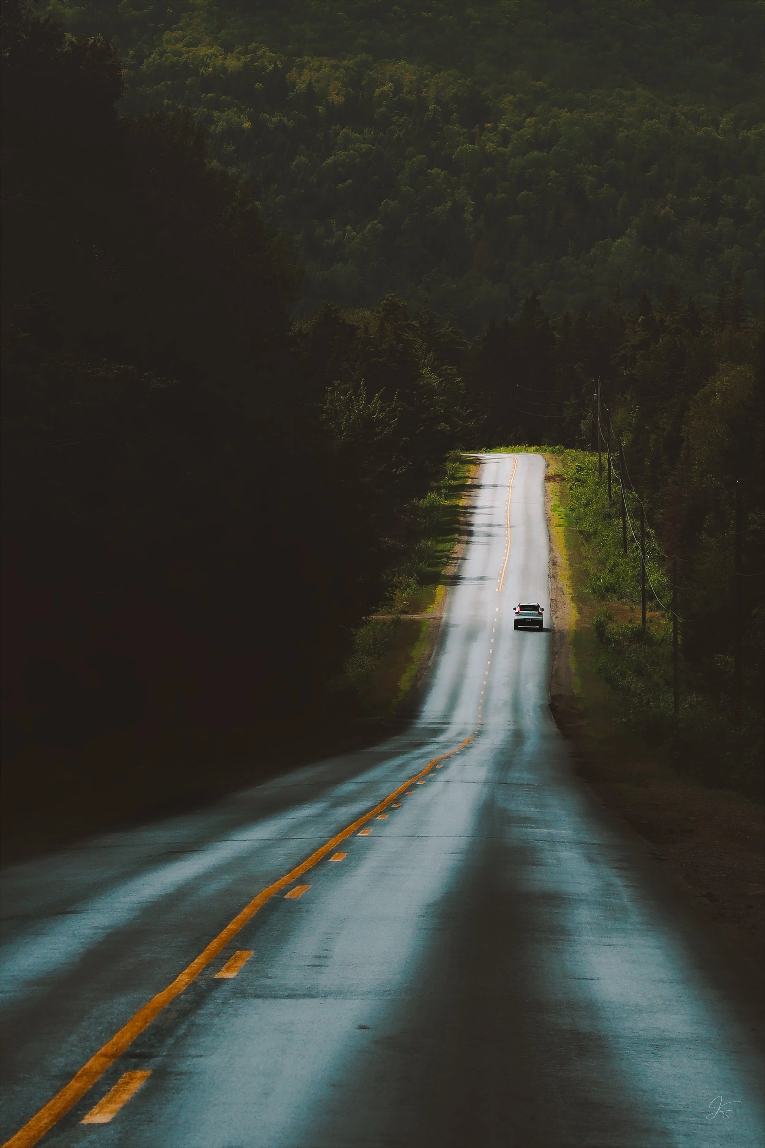 longwayhome SMALL.jpg