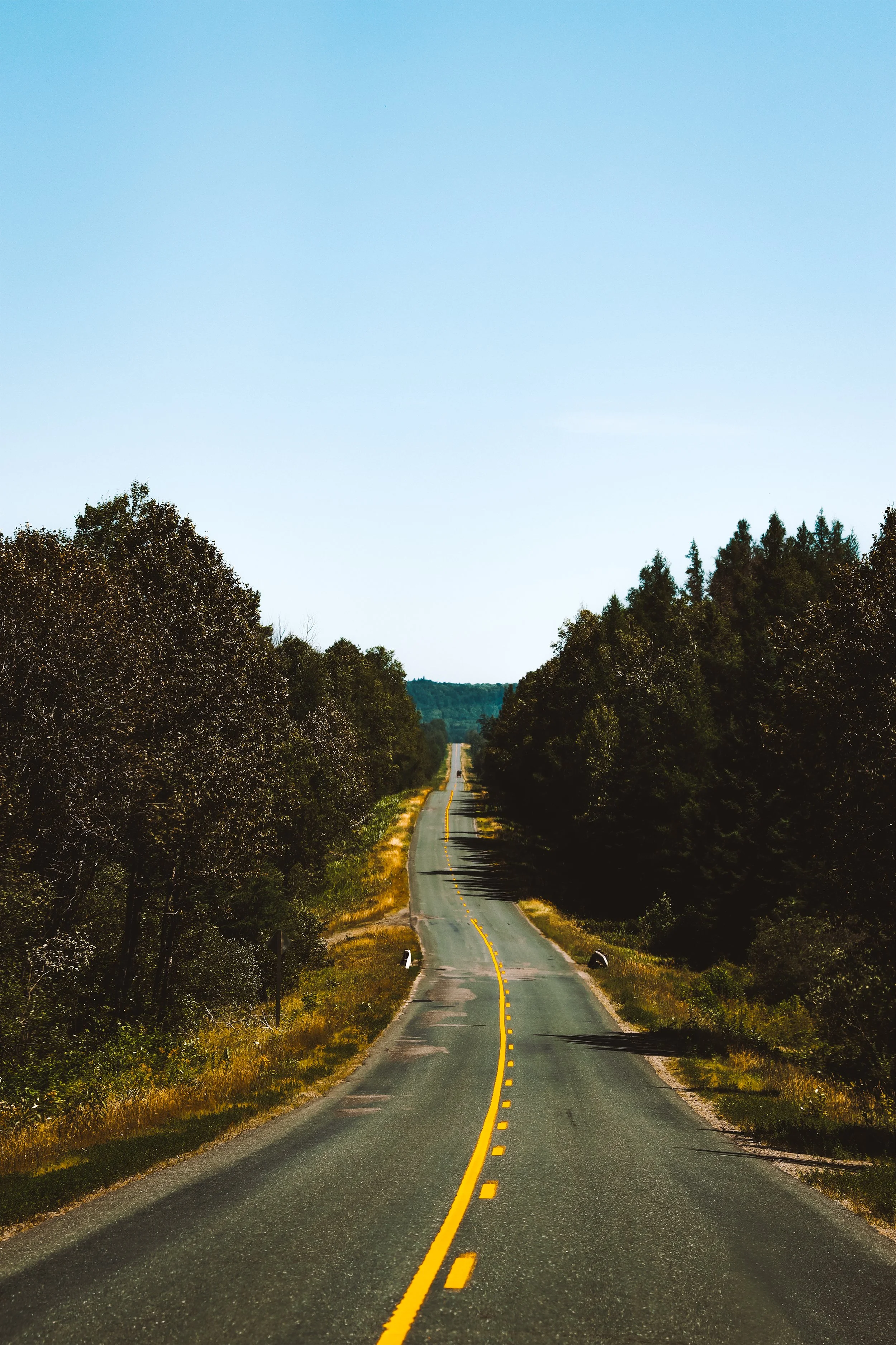 endlesssummerroads SMALL.jpg