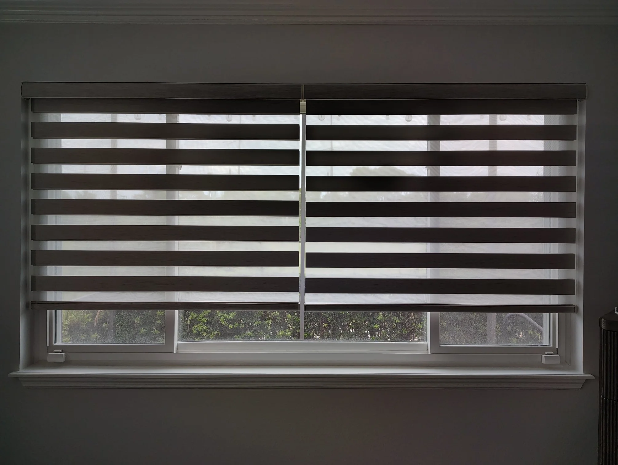 A large window with horizontal blinds partially open, showing a view of greenery outside.
