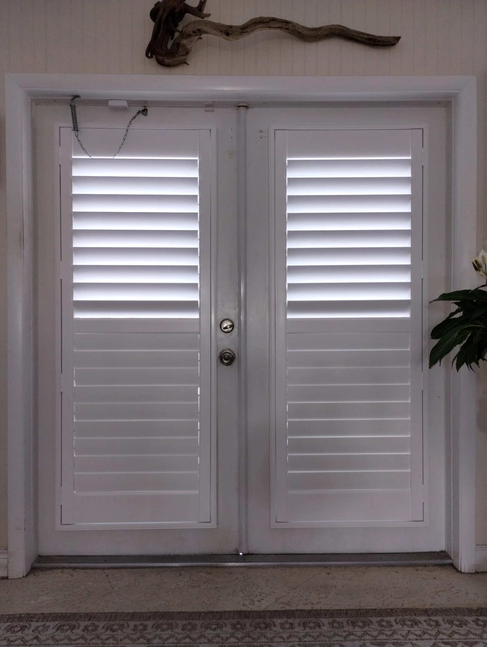 White double doors with plantation shutters, door handle, and a lock. There is a decorative branch or driftwood piece mounted above. Part of a plant is visible on the right.
