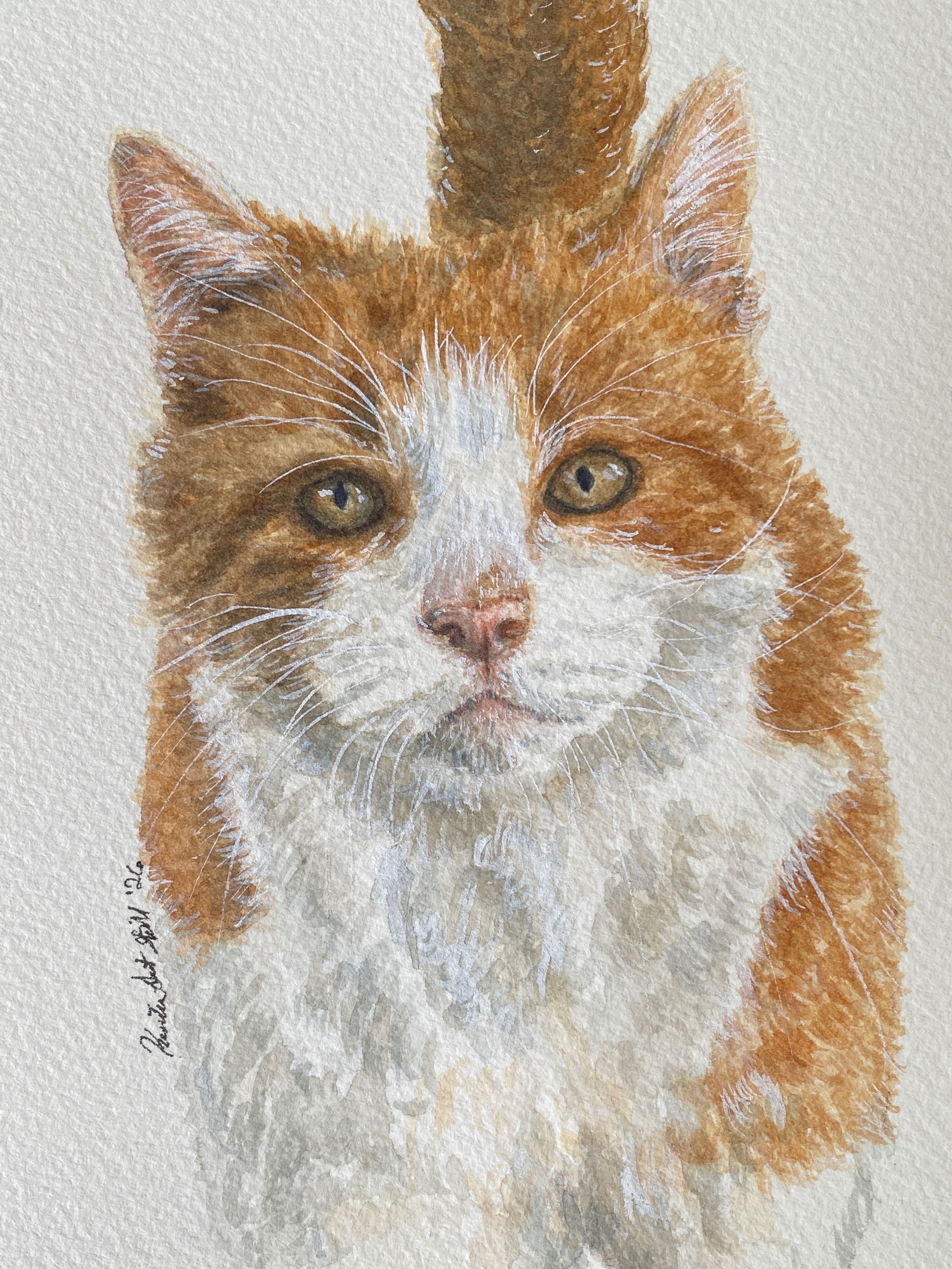 Mr. Carrot — 5 × 7 in • $115