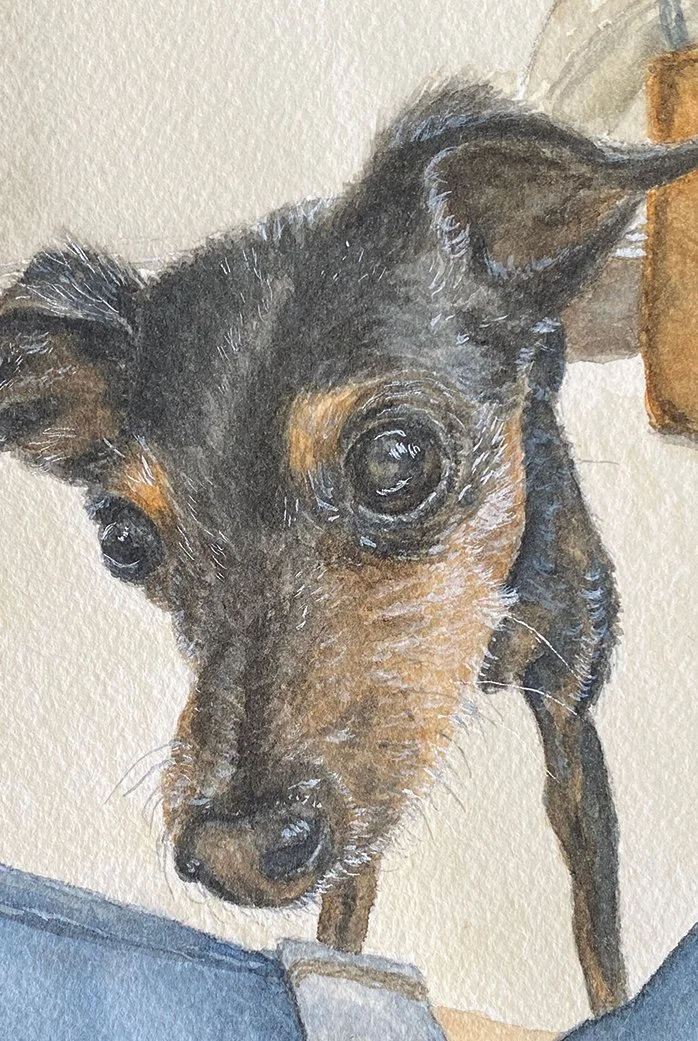 Gunner the MinPin