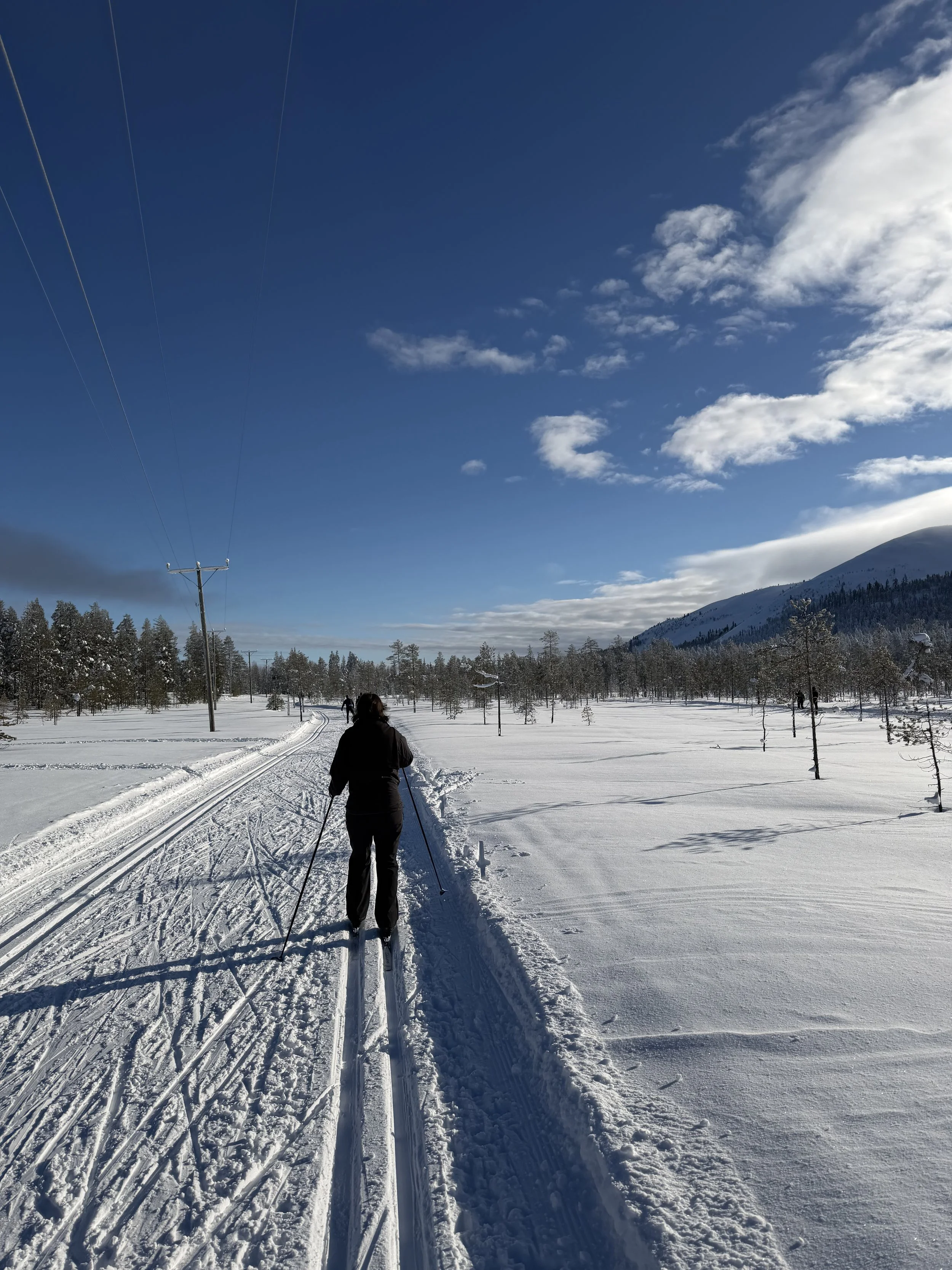 Cross Country Skiing
