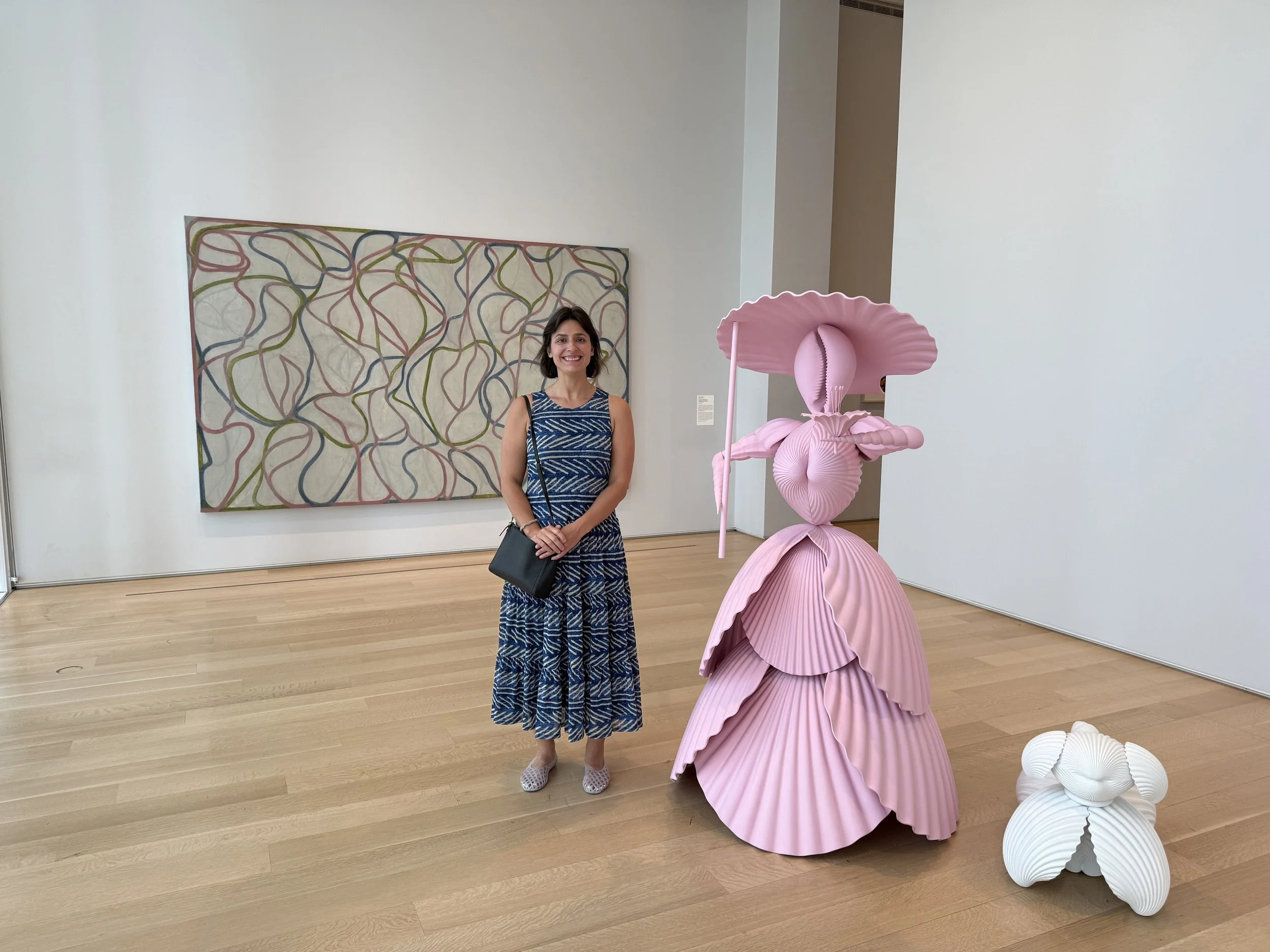 Brice Marden in Chicago