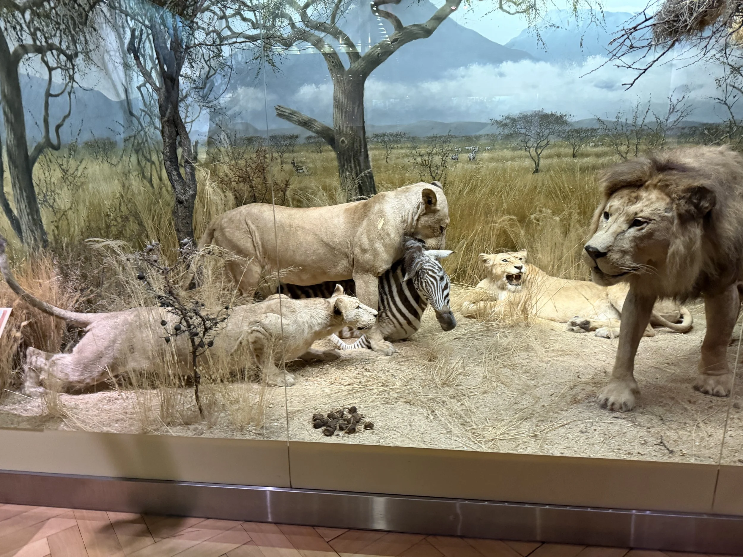 Finnish Diorama