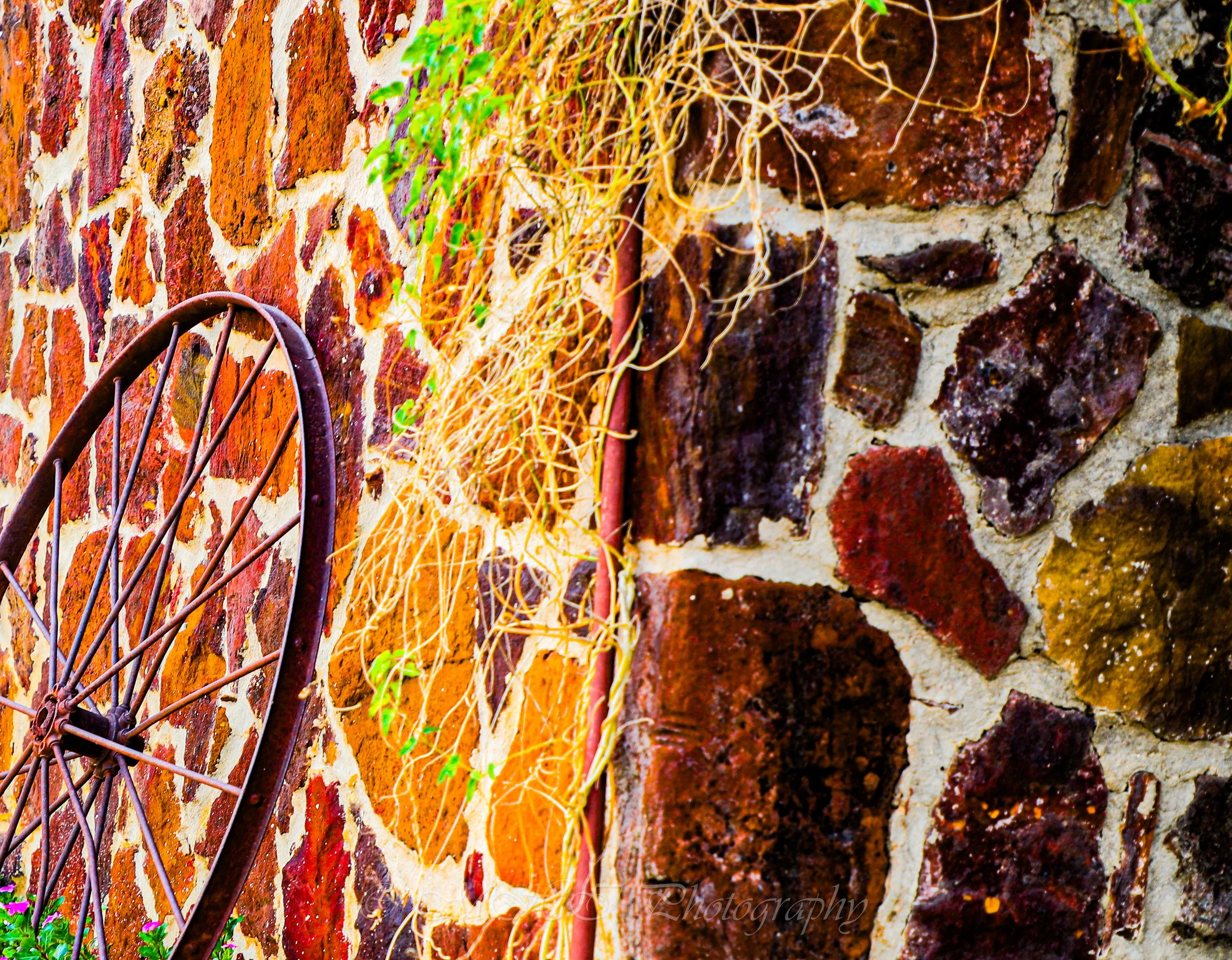Color Rustic Wheel