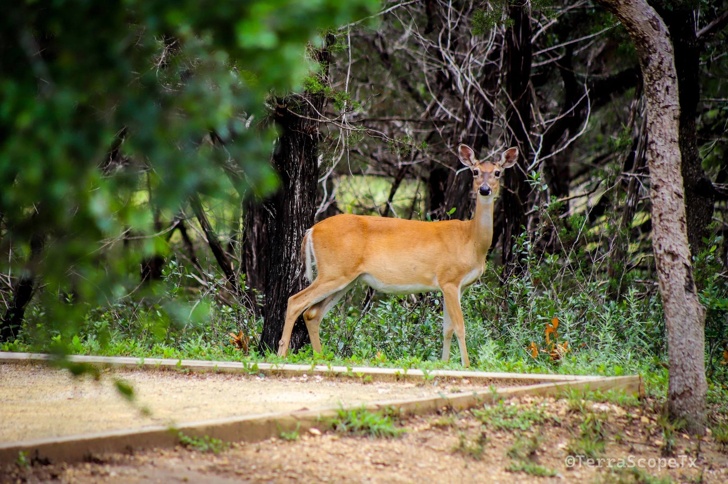 053026-180.jpg