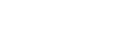 The Naughty Bawdy Brigade