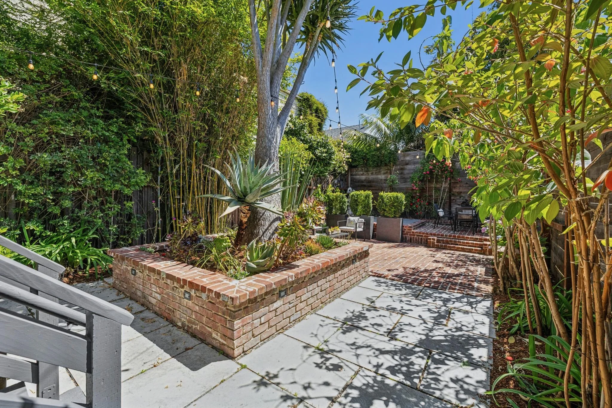 A backyard garden with lush green trees and plants, including succulents and bamboo, with string lights hanging above. There is a brick raised bed plant container and a brick patio on a sunny day with clear blue sky.