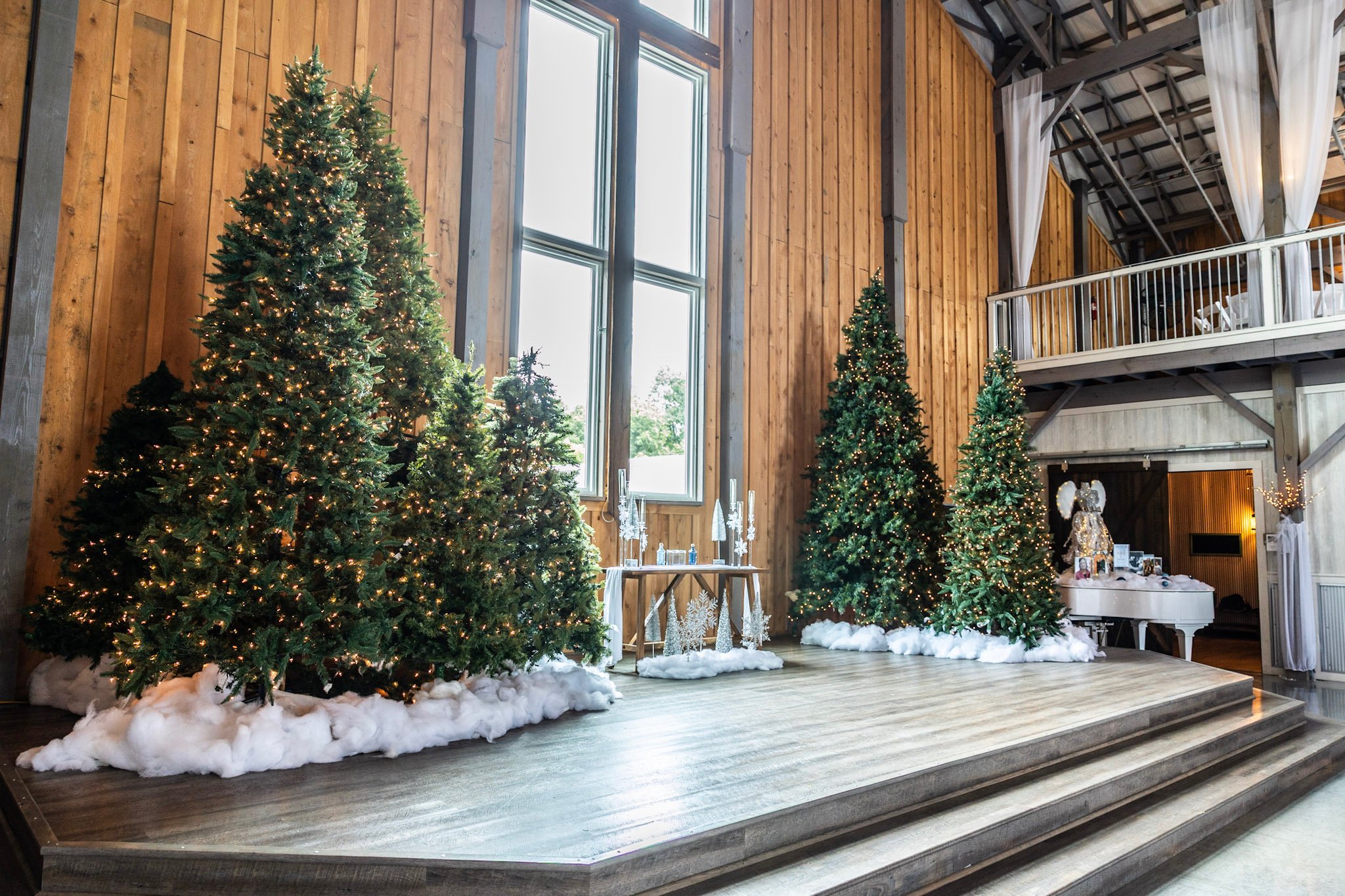 Decorated Christmas trees with white lights and artificial snow on a wooden stage inside a rustic barn with wooden walls and large windows.