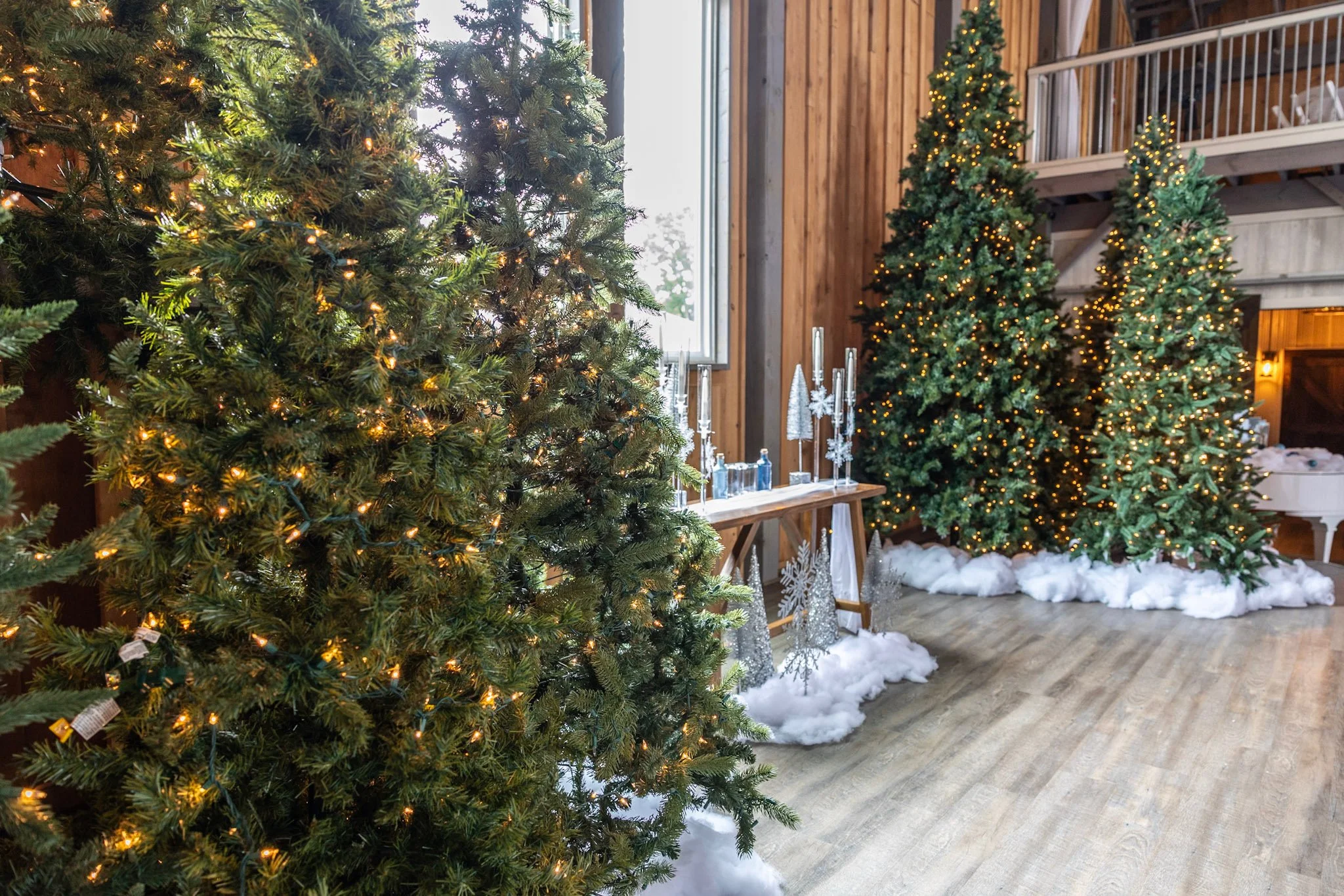 Decorated Christmas trees with lights inside a wooden room, with snow-like decorations on the floor.