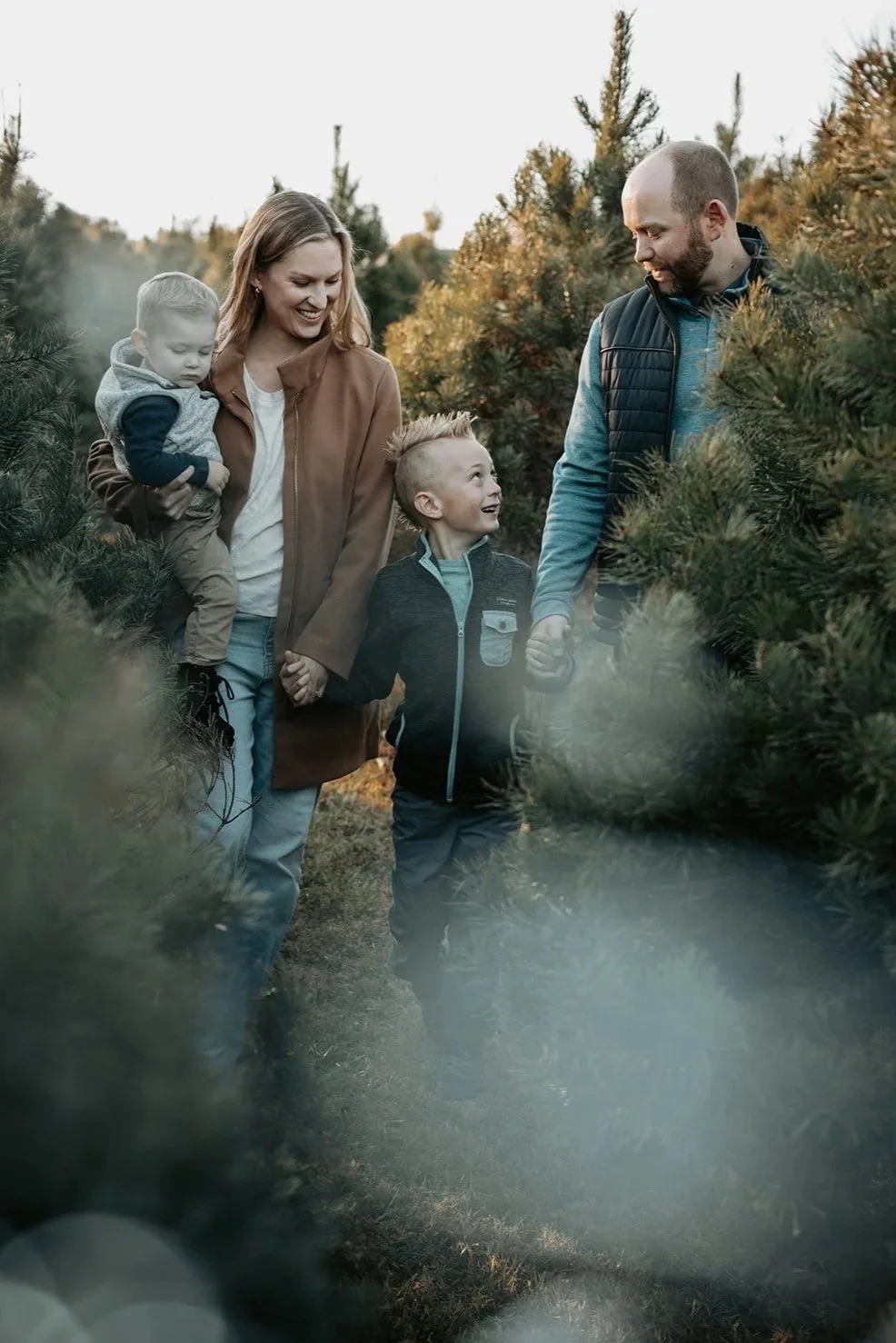 A family of four walking through a Christmas tree farm, holding hands, with a woman holding a young child, and a man holding the hand of an older boy, all smiling among evergreen trees.