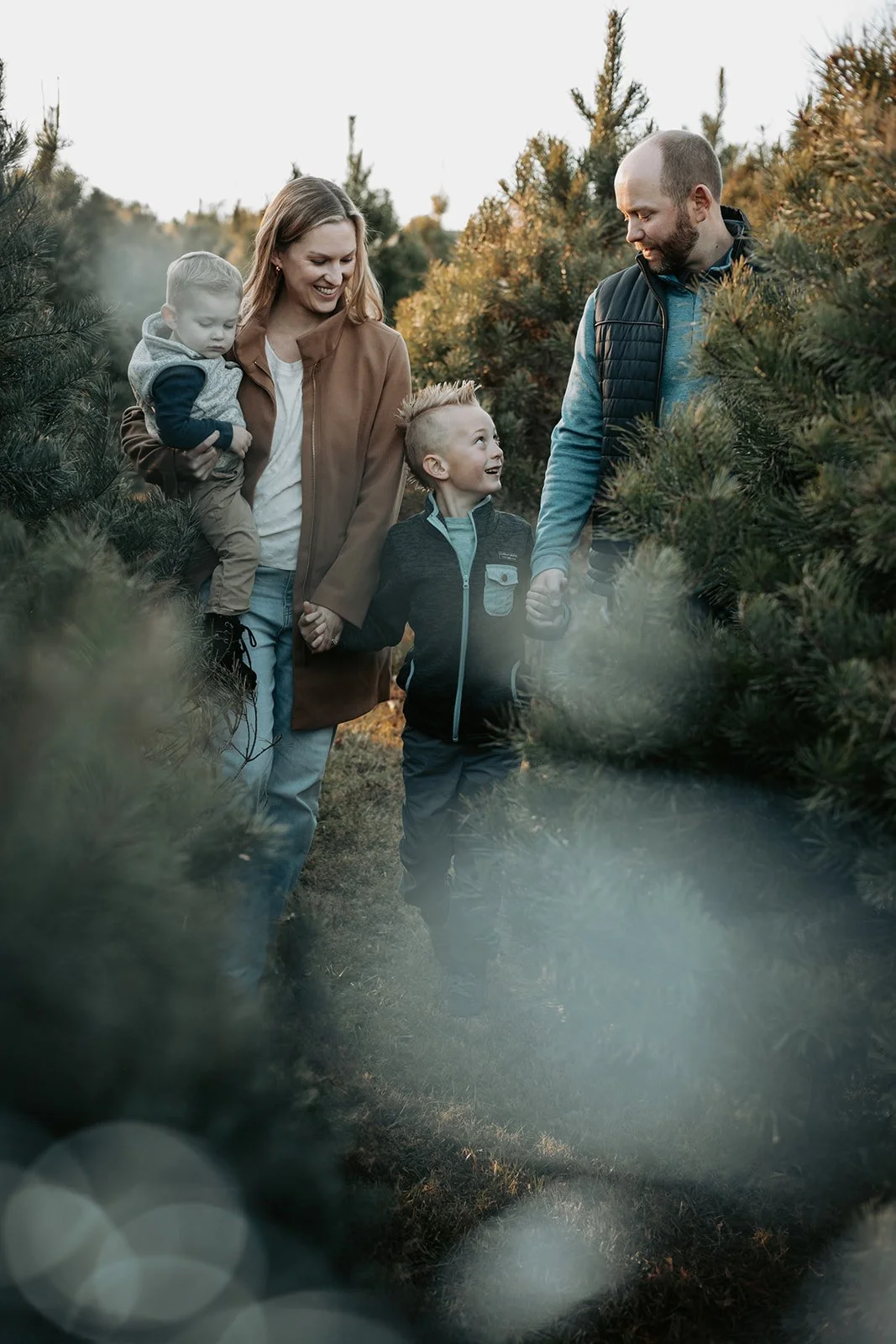 A family of four enjoying a walk through a Christmas tree farm, holding hands and smiling amid lush evergreen trees.