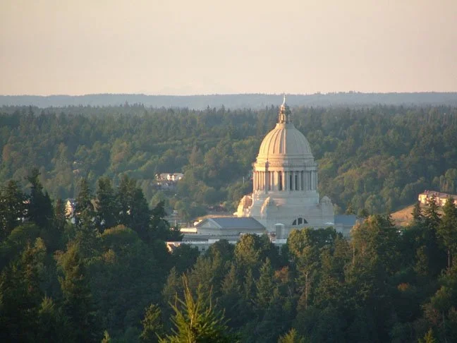 Dome of a capitol building rising above a dense forest of trees.