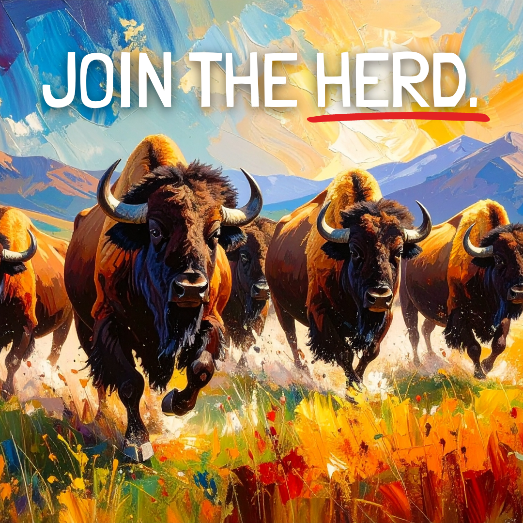 A vibrant painting of bison running through a colorful landscape with mountains and a dynamic sky, with the text 'Join the Herd' and a red underline.