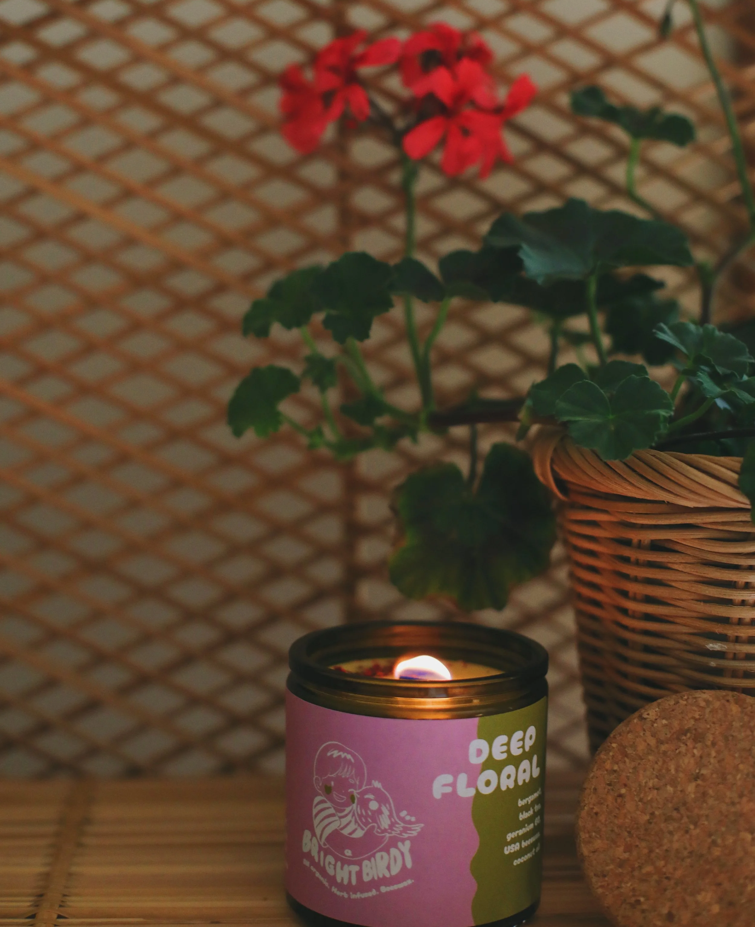 Why Choose Organic Candles?         