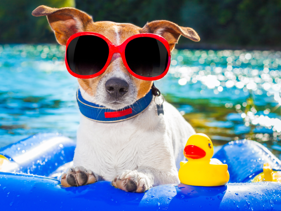 Summer and your electrical system: What every homeowner needs to know
