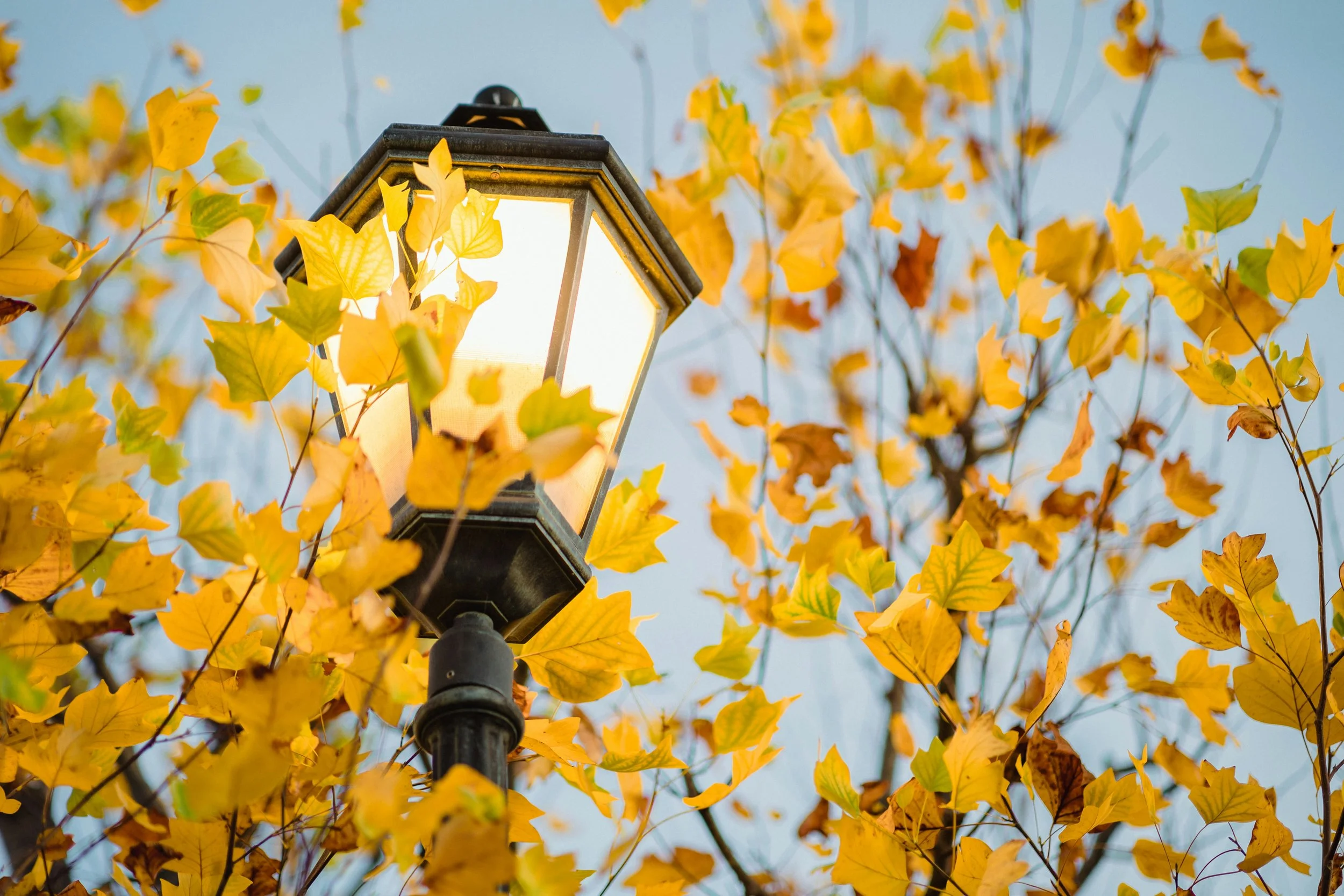 Fall home maintenance: Here’s a checklist for every homeowner