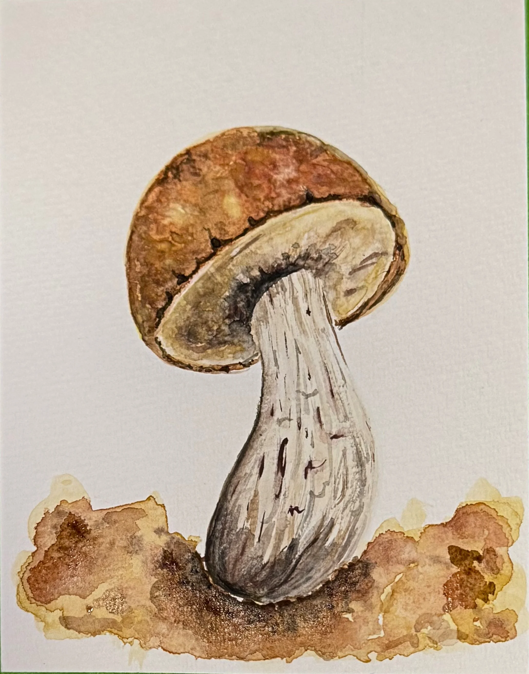 Button Mushroom Watercolor Print