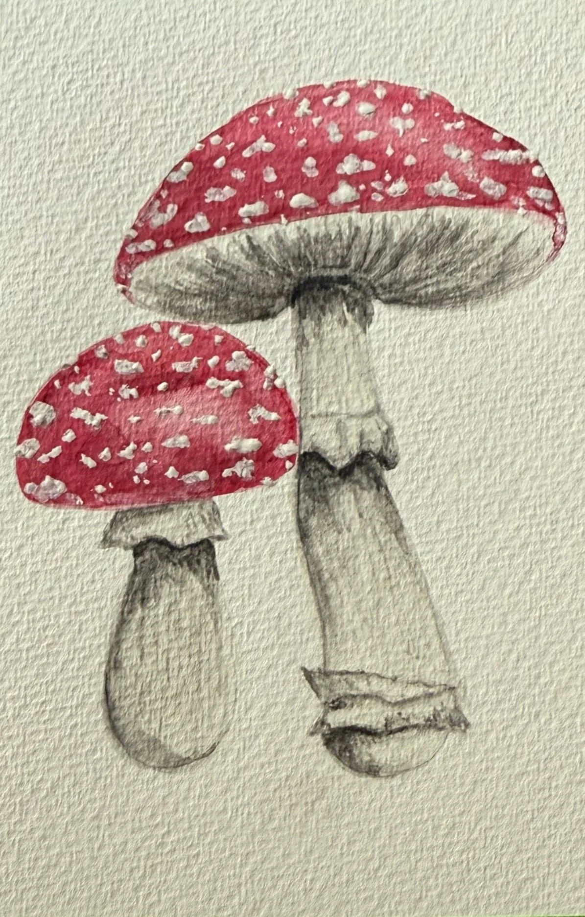 Amanita Muscaria (Red Cap) Mushroom Print