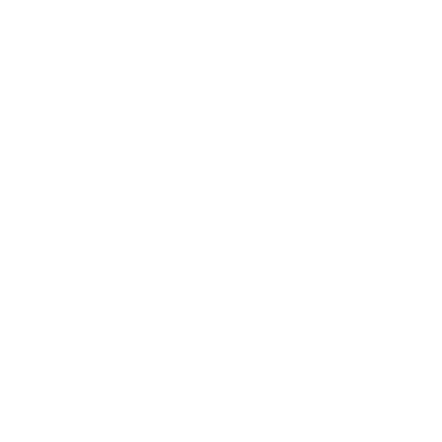 Diversified Family Services