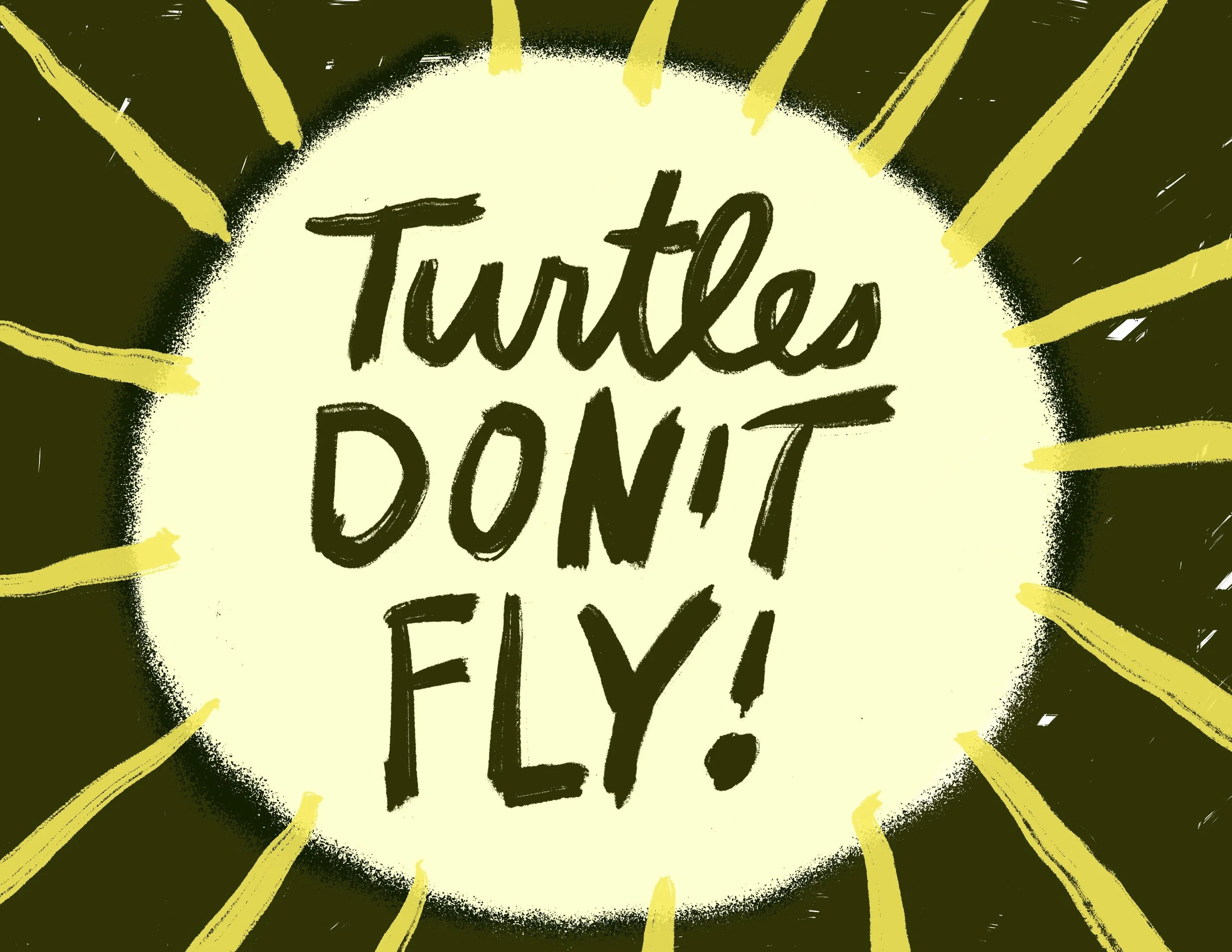 Turtles Don't Fly