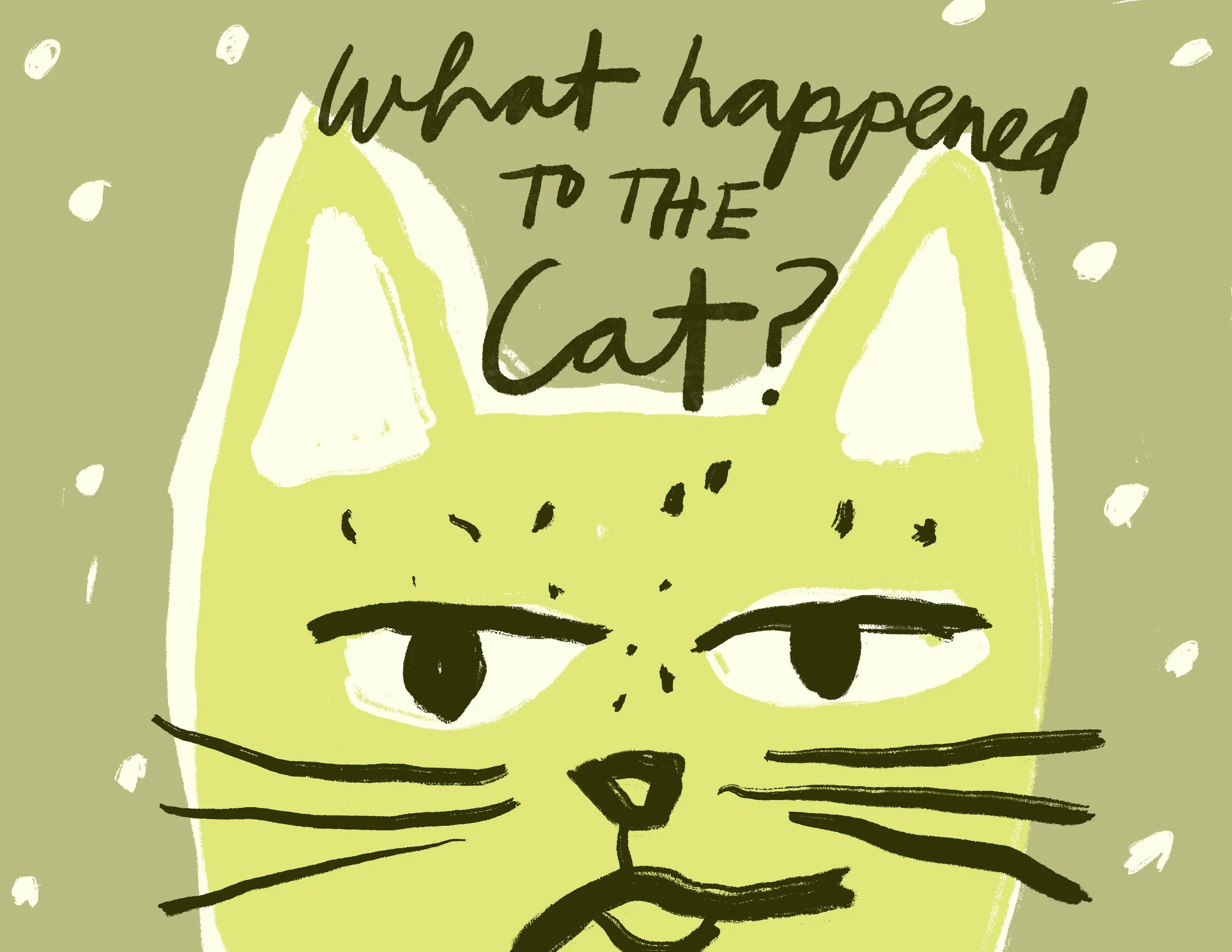 What Happened to the Cat?