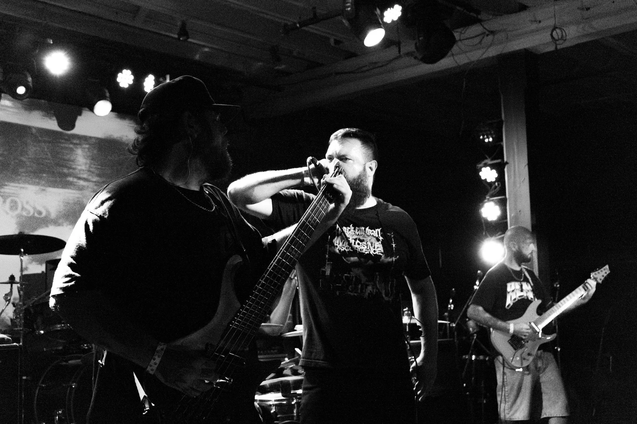 IML04187.jpg