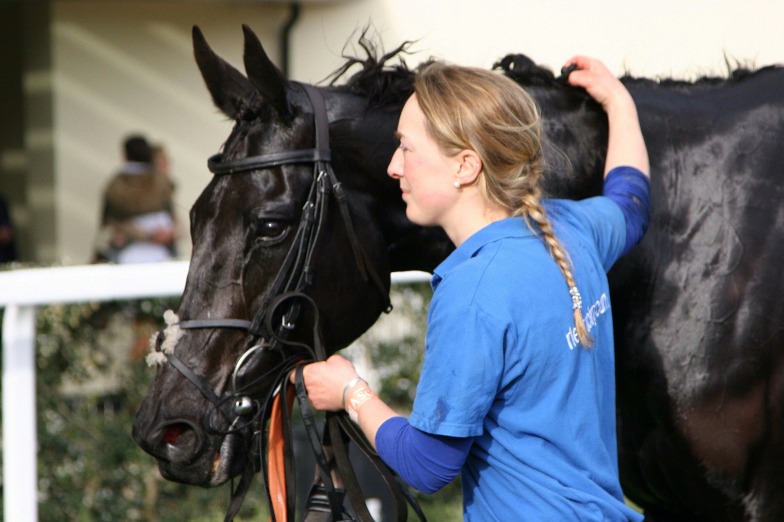 7 Things the Best Large-Animal Veterinary Practices Do Differently