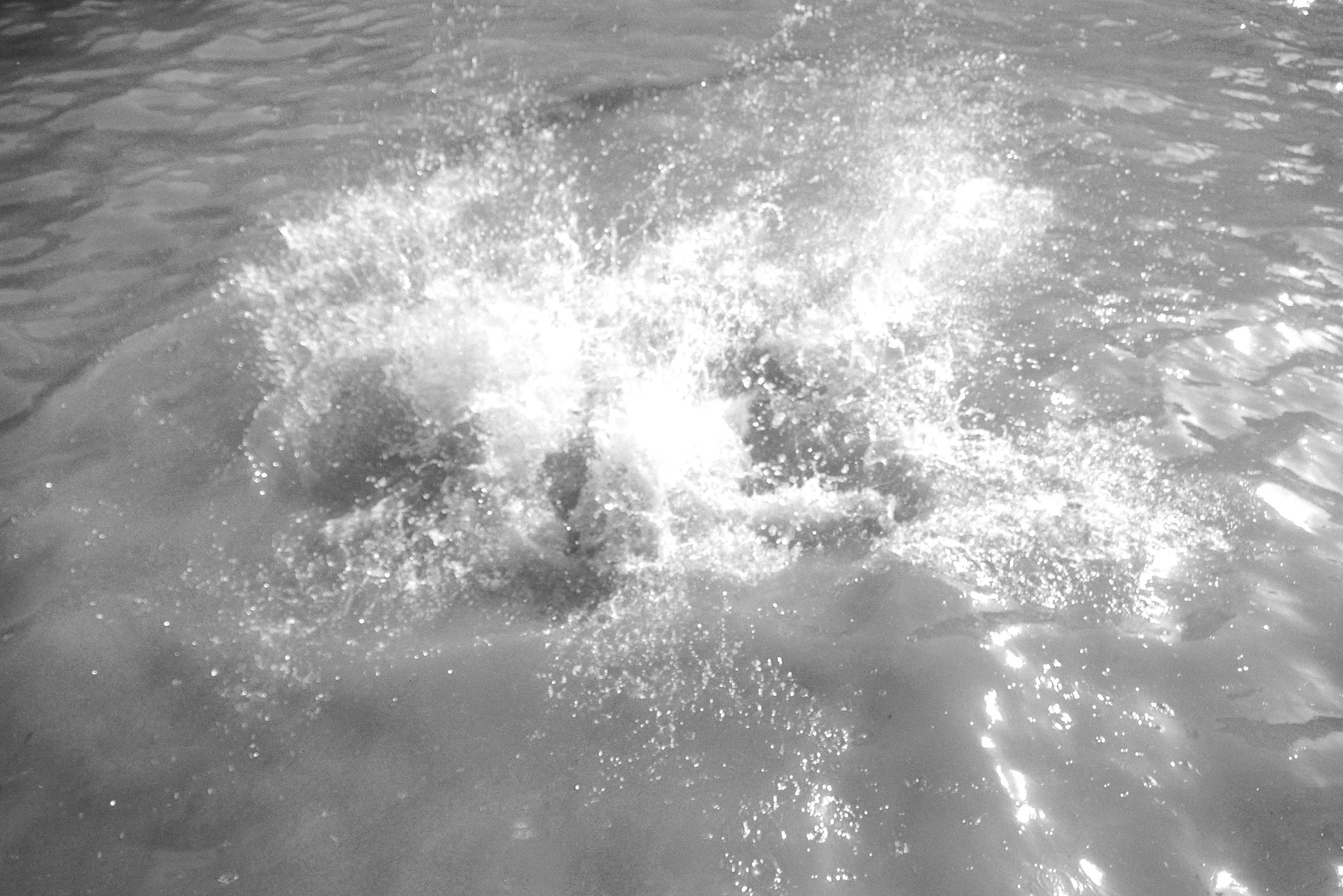 P1140746.jpg