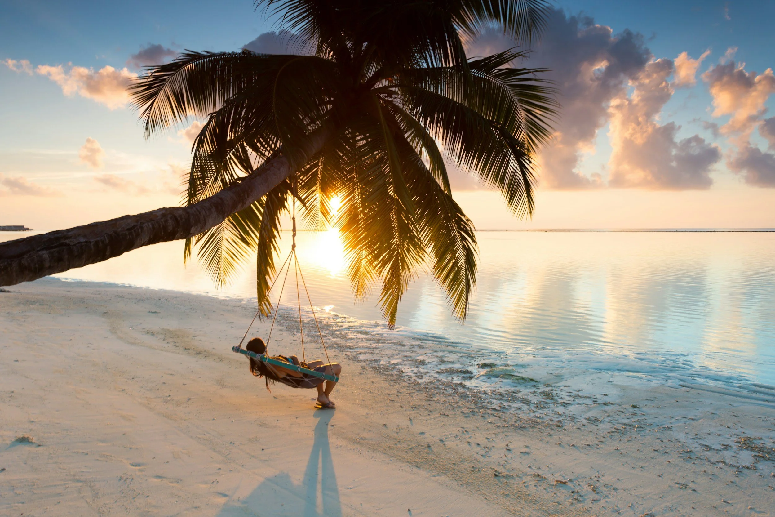 Child playing on a swing hanging from a palm tree on a sandy beach at sunset.
