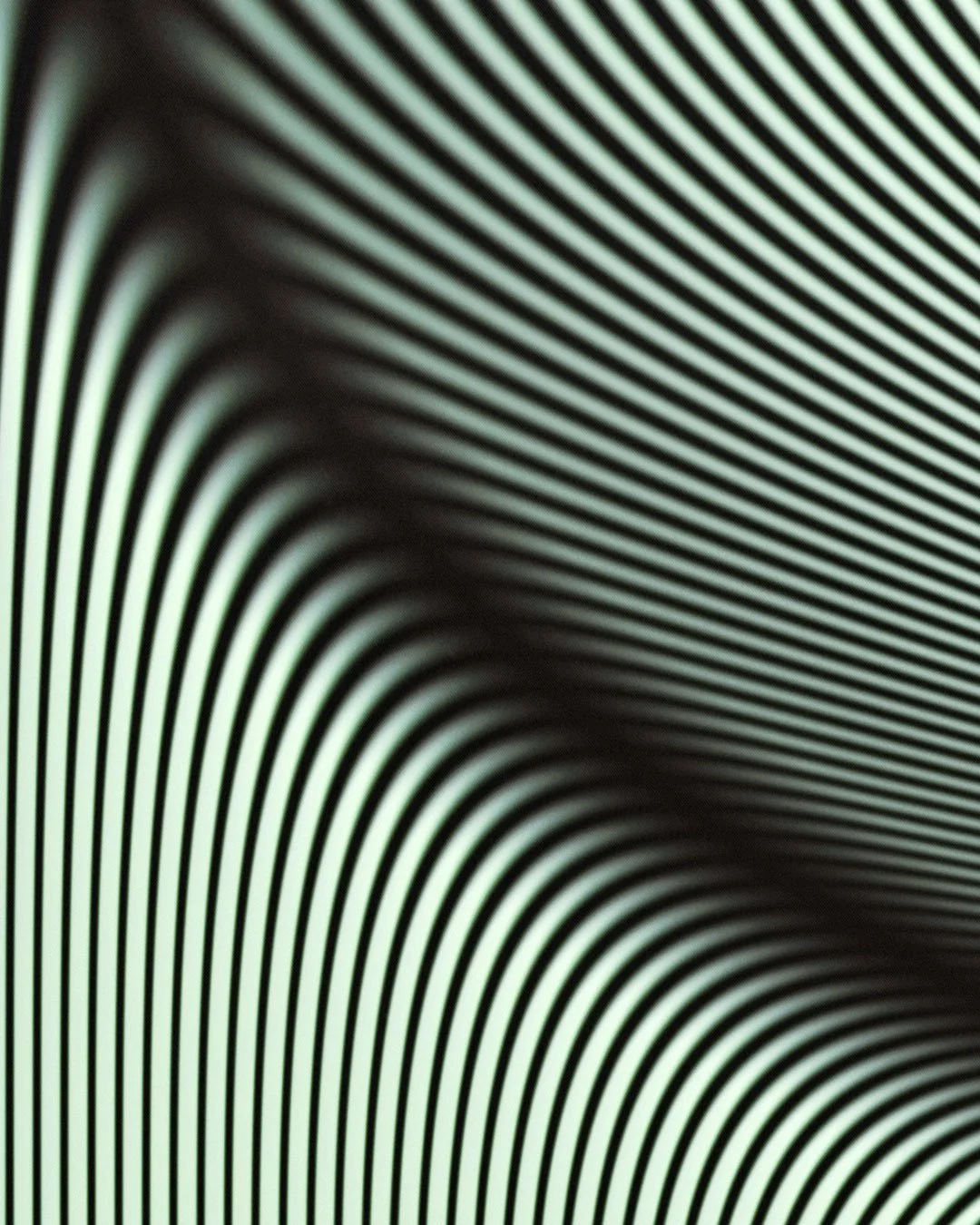 AMBIENT