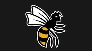 Wasps Rugby Logo