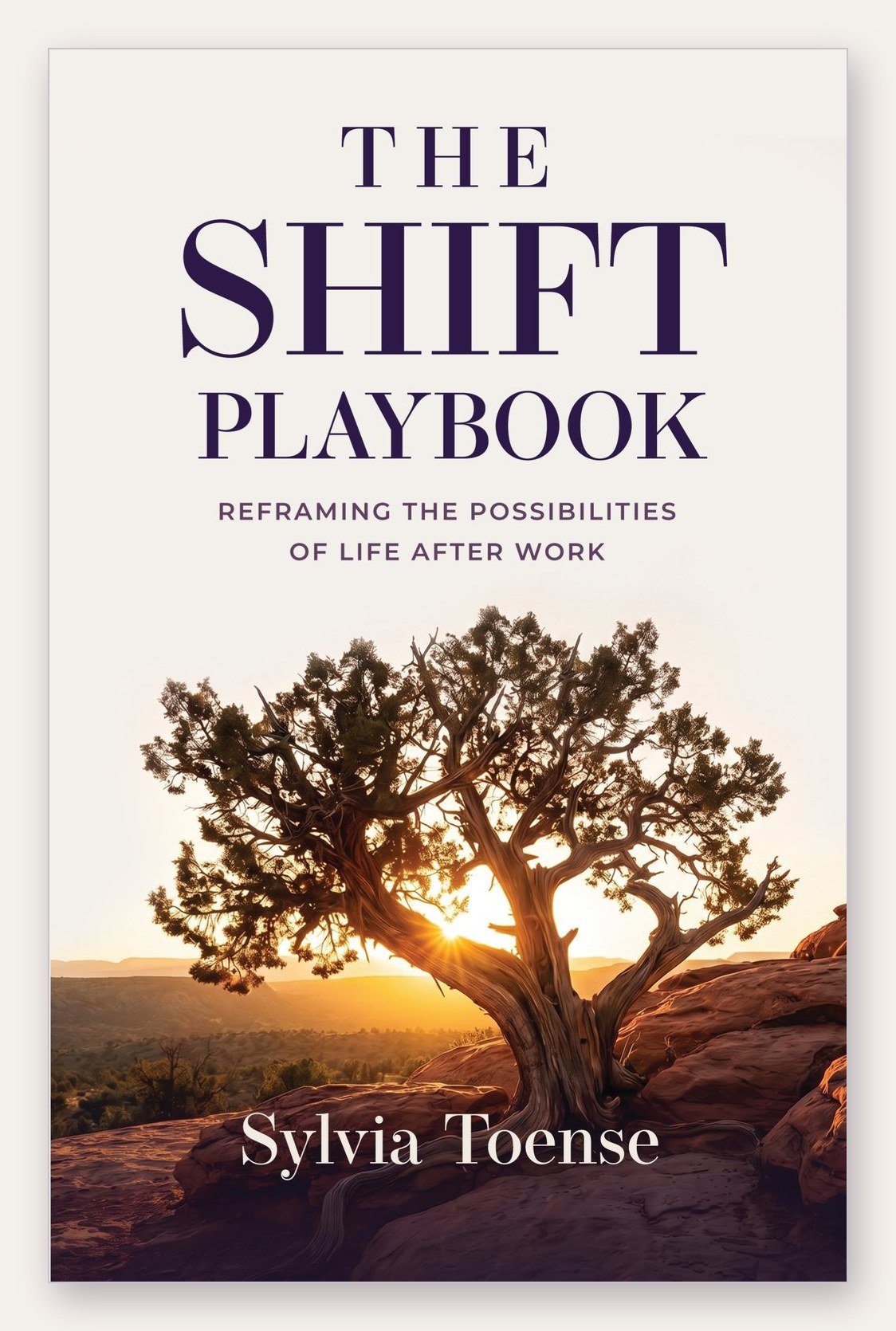 The Shift Playbook by Sylvia Toense, book cover.