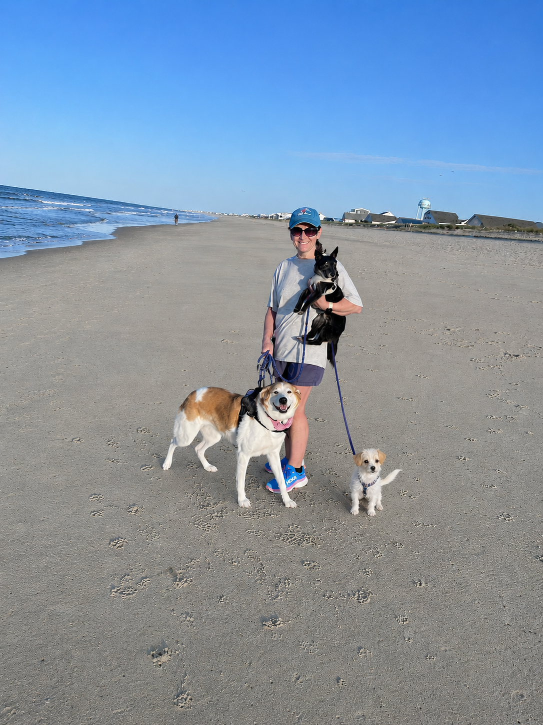 Owner of Paws & Peace Pet Care, LLC walking three dogs on a beach, demonstrating personalized and multi pet dog walking and pet care in South Charlotte, NC.