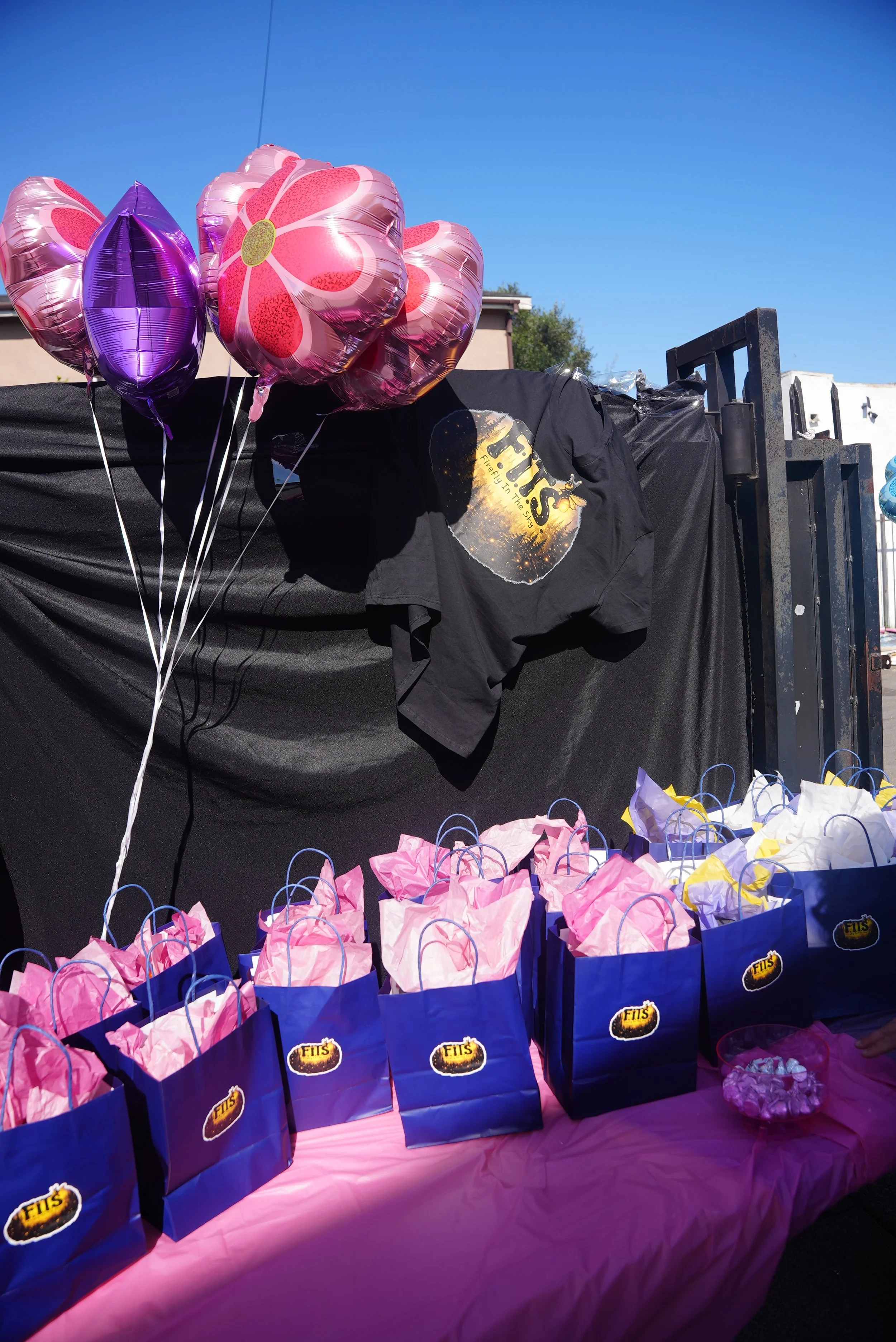 Pink and purple balloons with flower designs next to gift bags with F.I.T.S. logo, pink tablecloth with ribbon decorations, outdoor setting with blue sky.