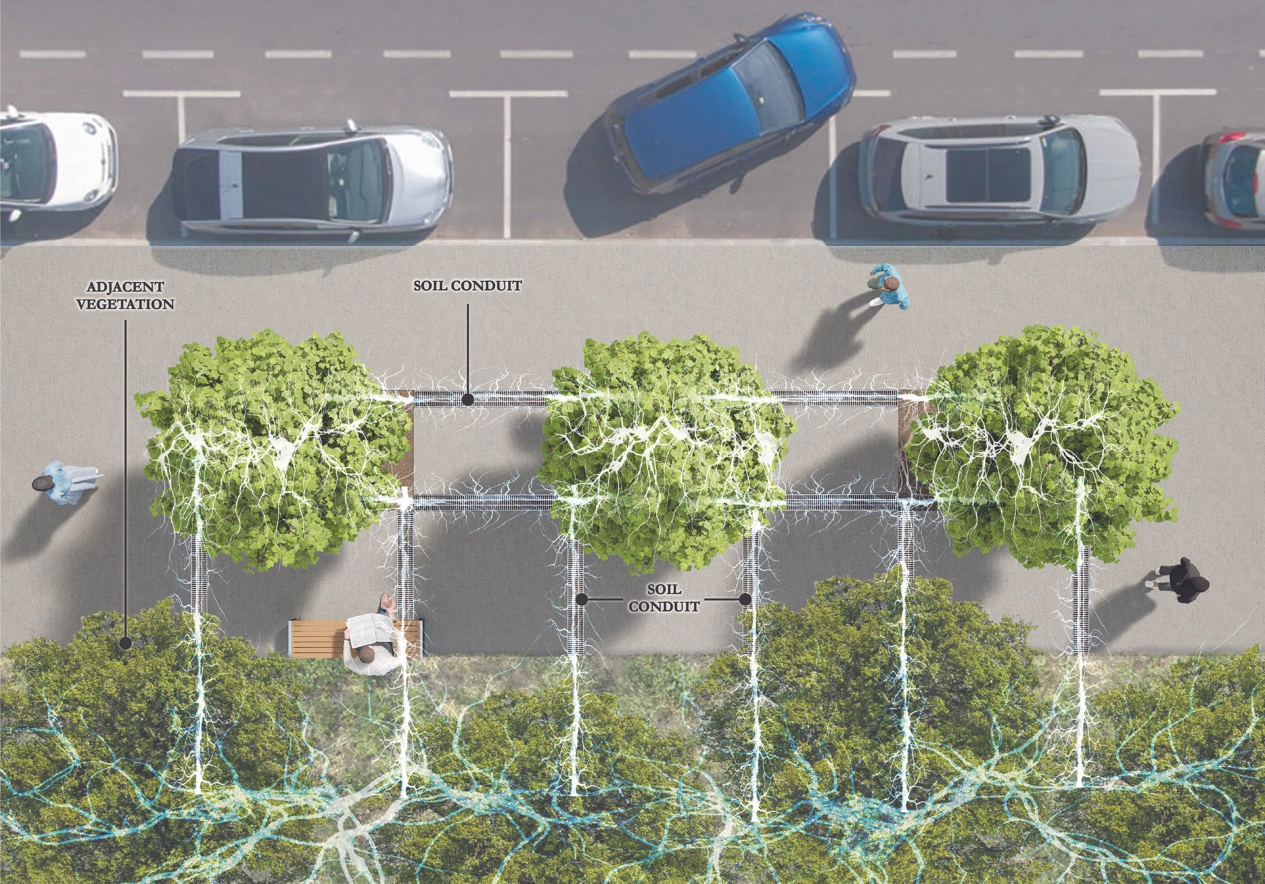 An aerial view of a parking lot with five parked cars and a sidewalk with trees, where one person is walking and another is sitting on a bench. The sidewalk has labels indicating adjacent vegetation and soil conduit areas.