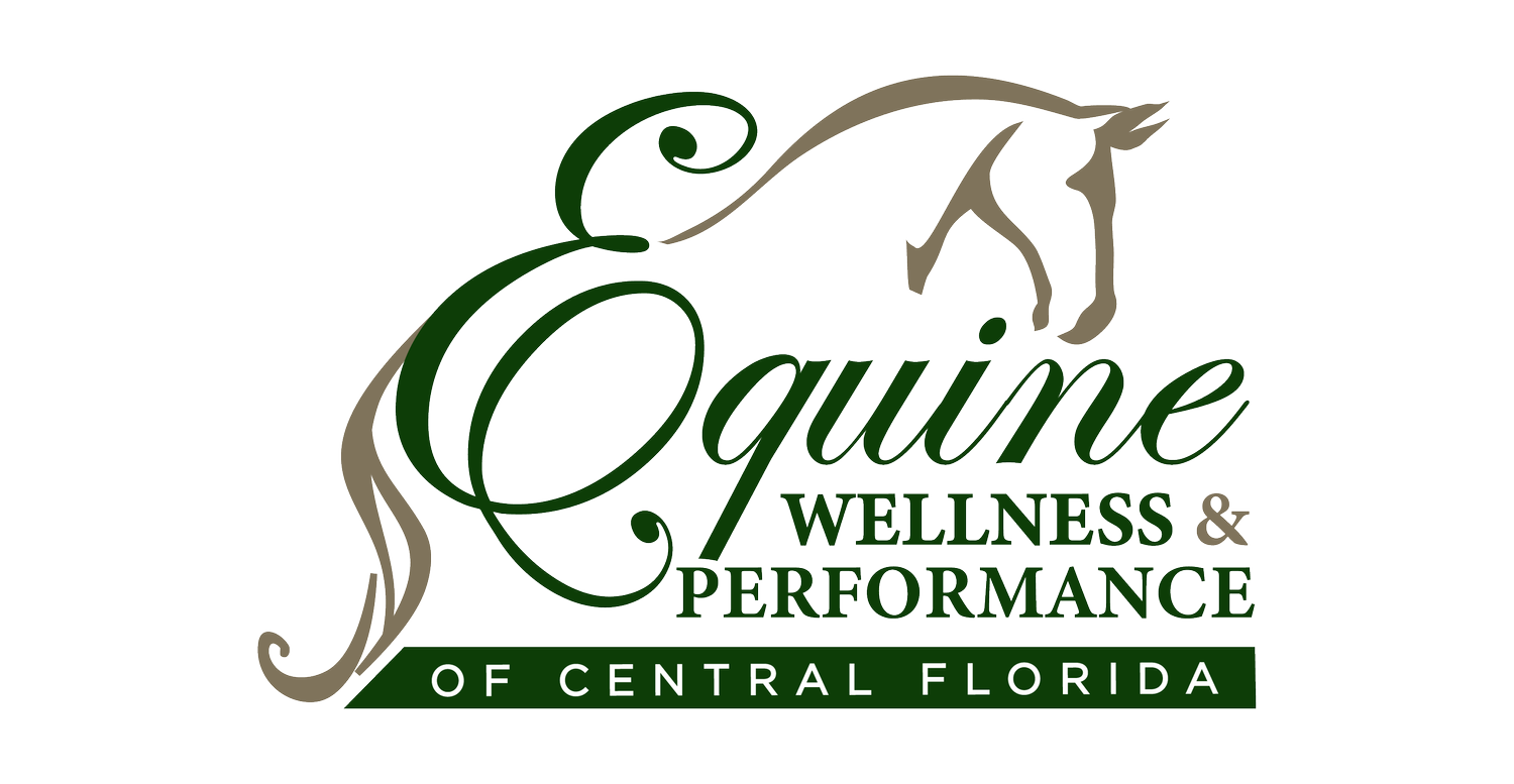 Equine Wellness and Performance of Central Florida