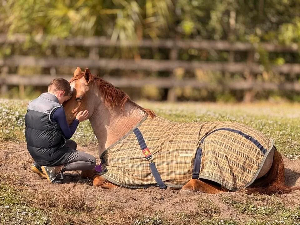 A young boy kneeling and touching a resting horse's face. The horse is lying down on the ground with a plaid blanket. The background features a wooden fence and greenery.