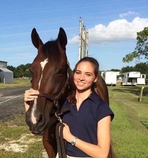 Young woman in navy polo shirt standing next to a brown horse with a white stripe on its face outdoors, with trailers and trees in the background on a sunny day.