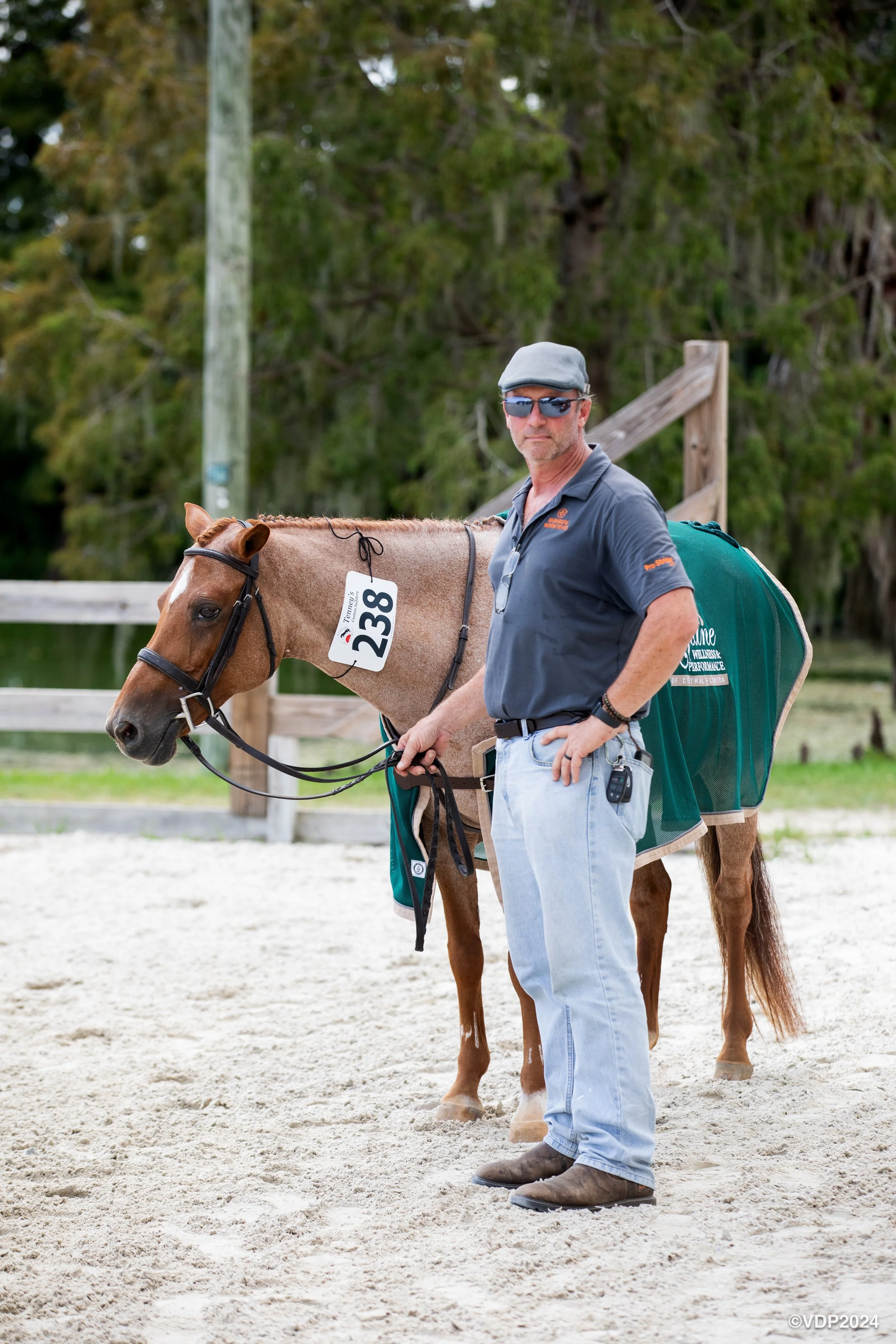 A man with sunglasses, a gray cap, and a gray polo shirt standing next to a brown horse with a rider number 238 on its bridle, in an outdoor riding arena.