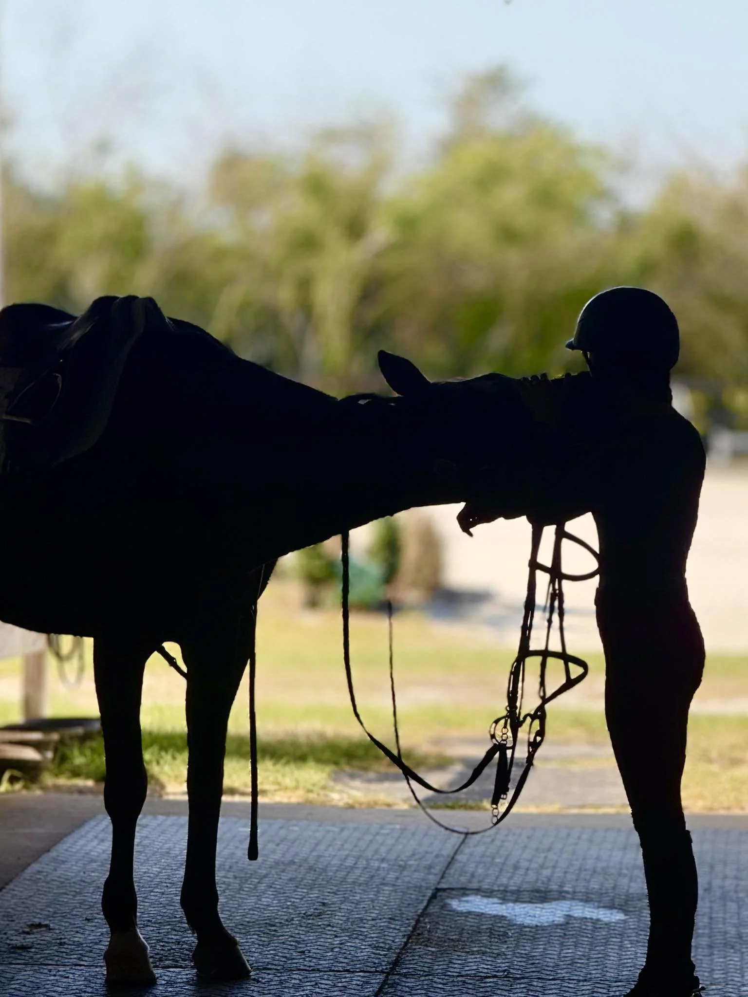 Silhouette of a person standing next to a horse, holding a lead rope, with a blurred outdoor background.