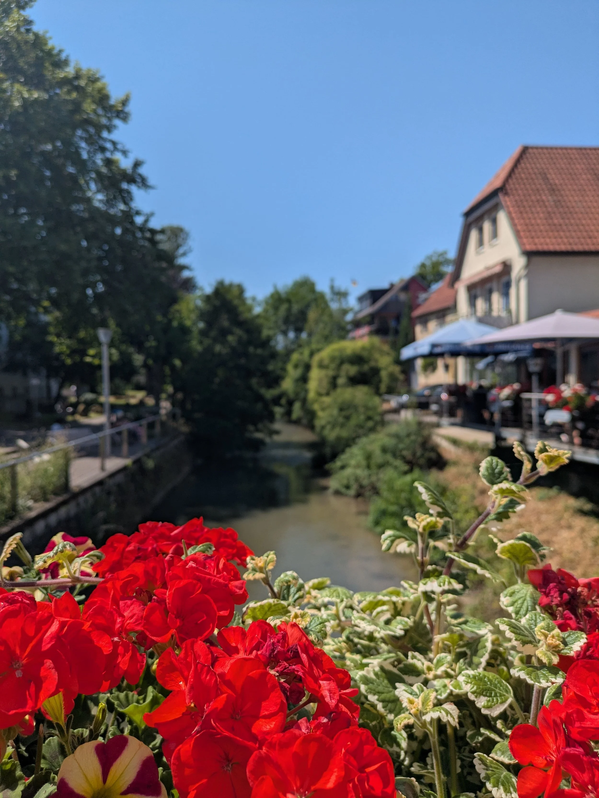 Auf großer Fahrt -  Teil 2